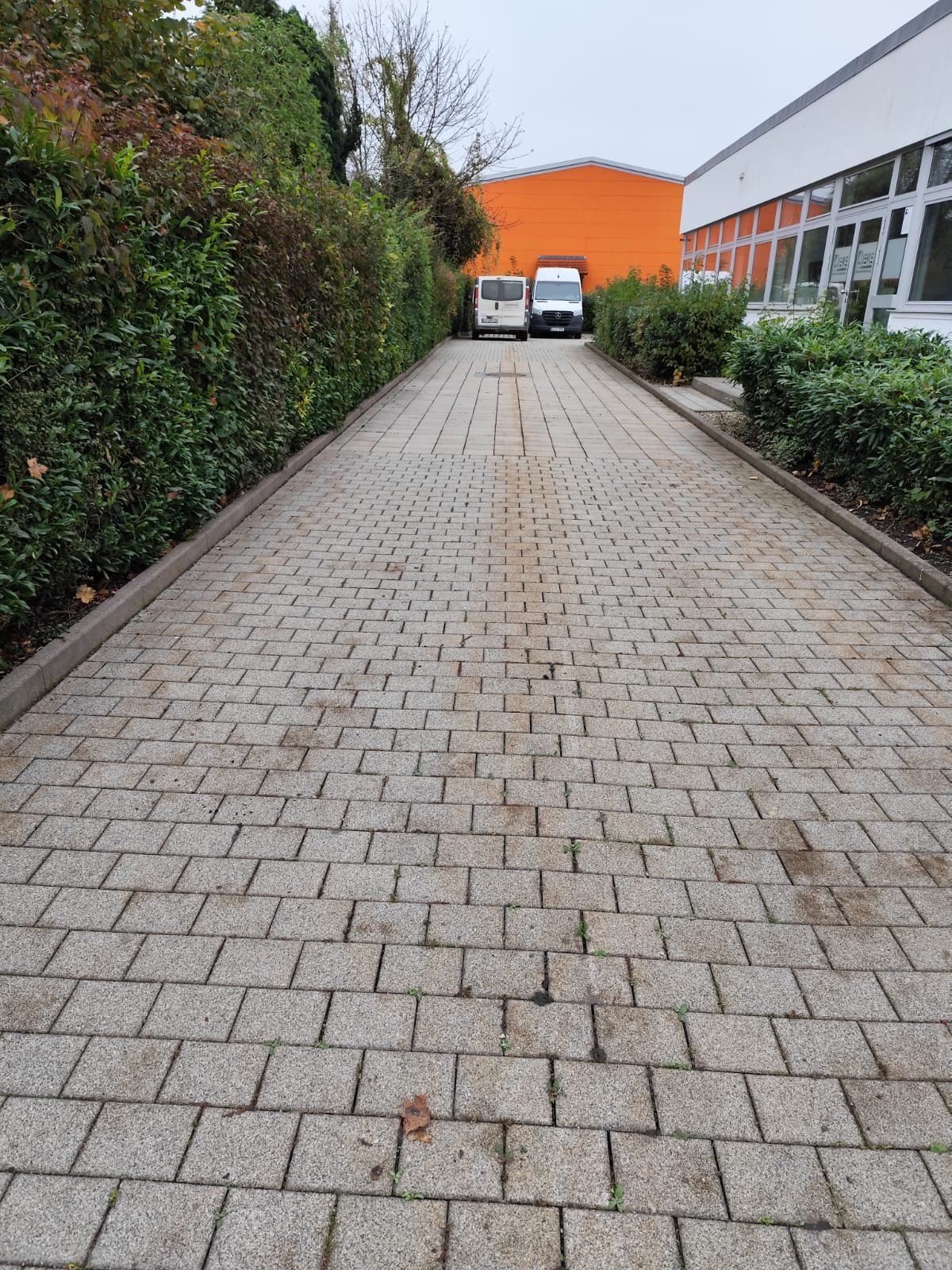 20241105_142524000_iOS 4.jpg