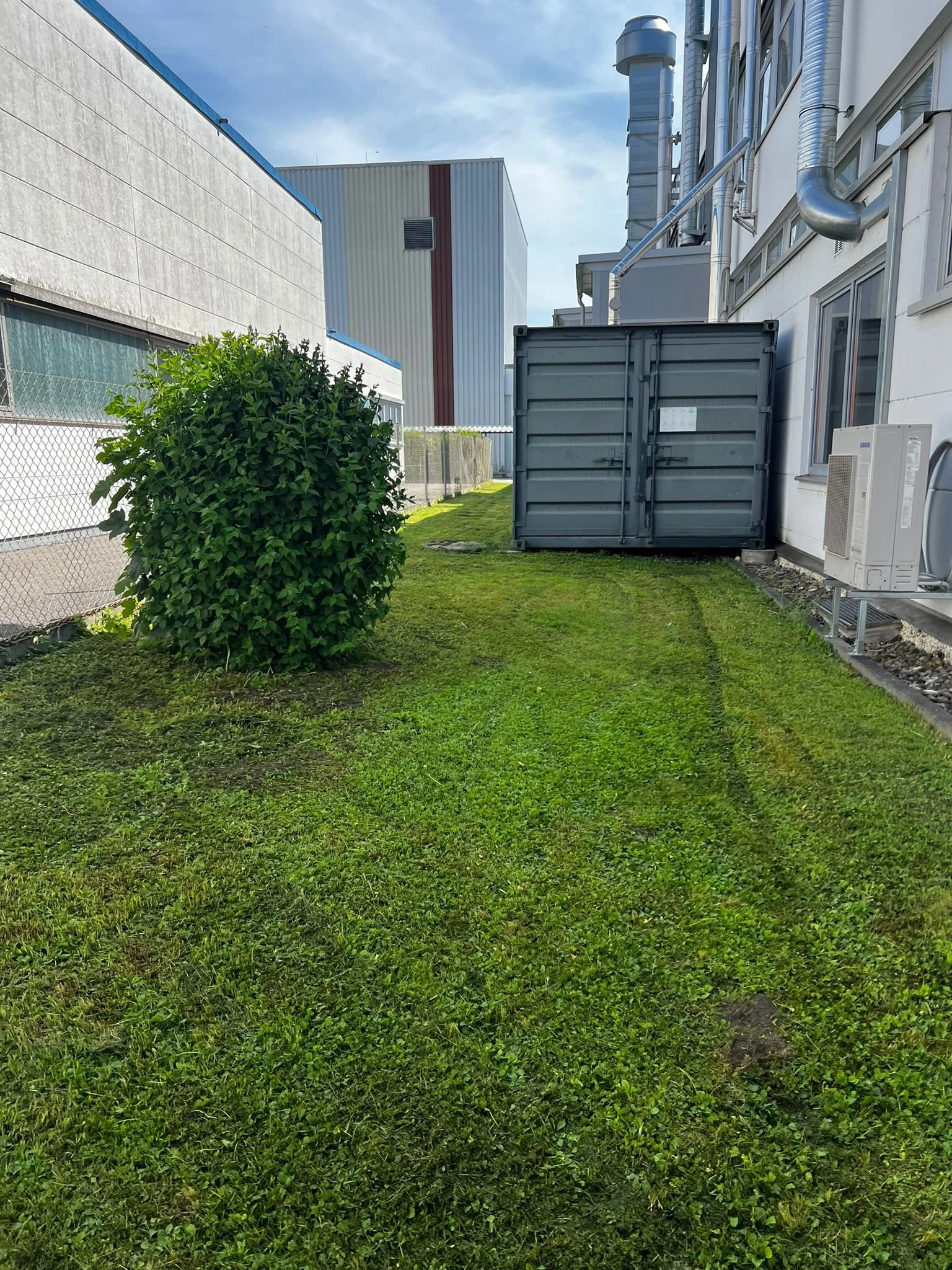 Grünanlagenpflege — STRAHL Gebäudereinigung & Hausmeisterservice - Augsburg (8).jpg