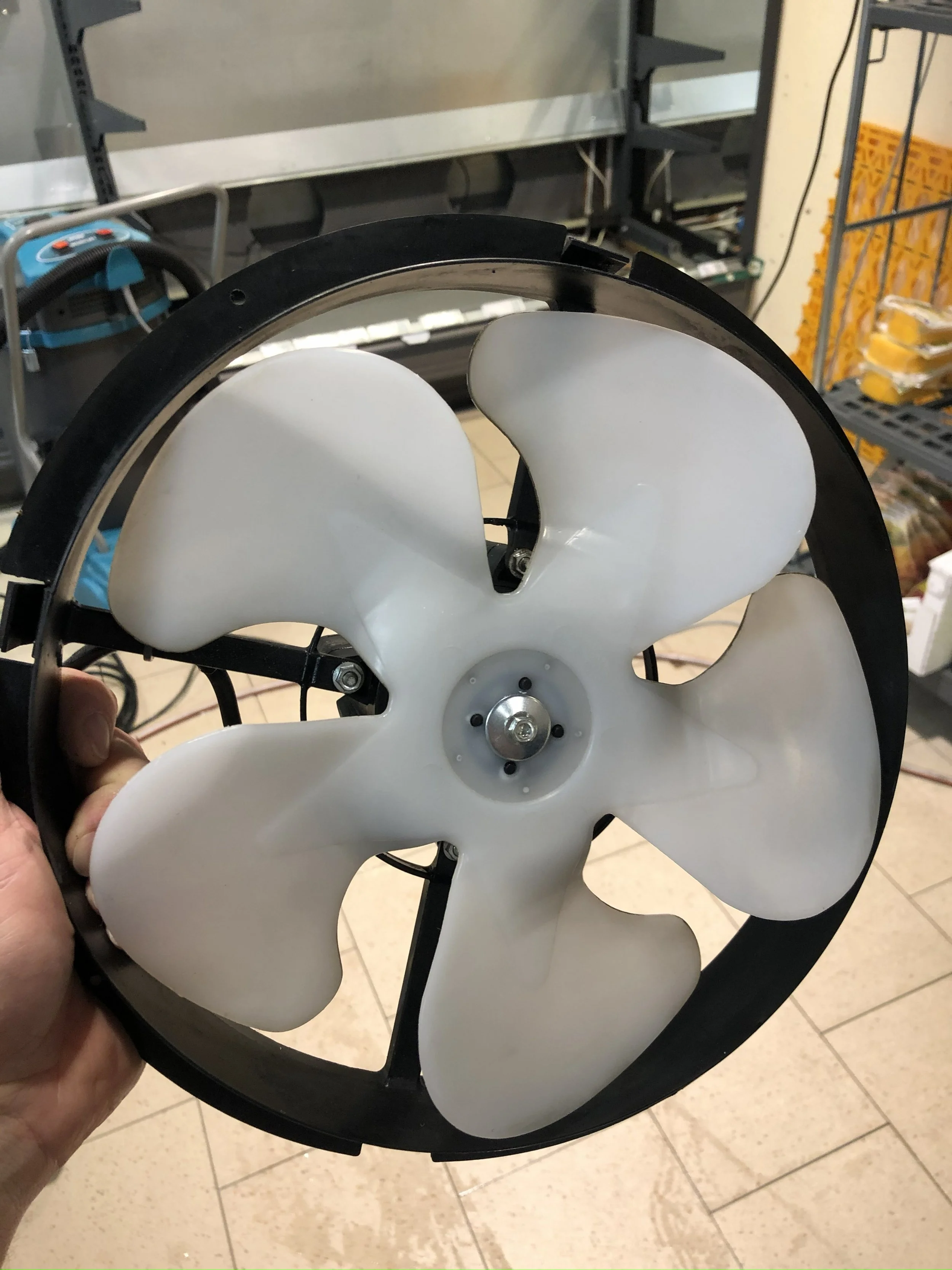 Moproreinigung — STRAHL Gebäudereinigung & Hausmeisterservice - Augsburg (6).jpg