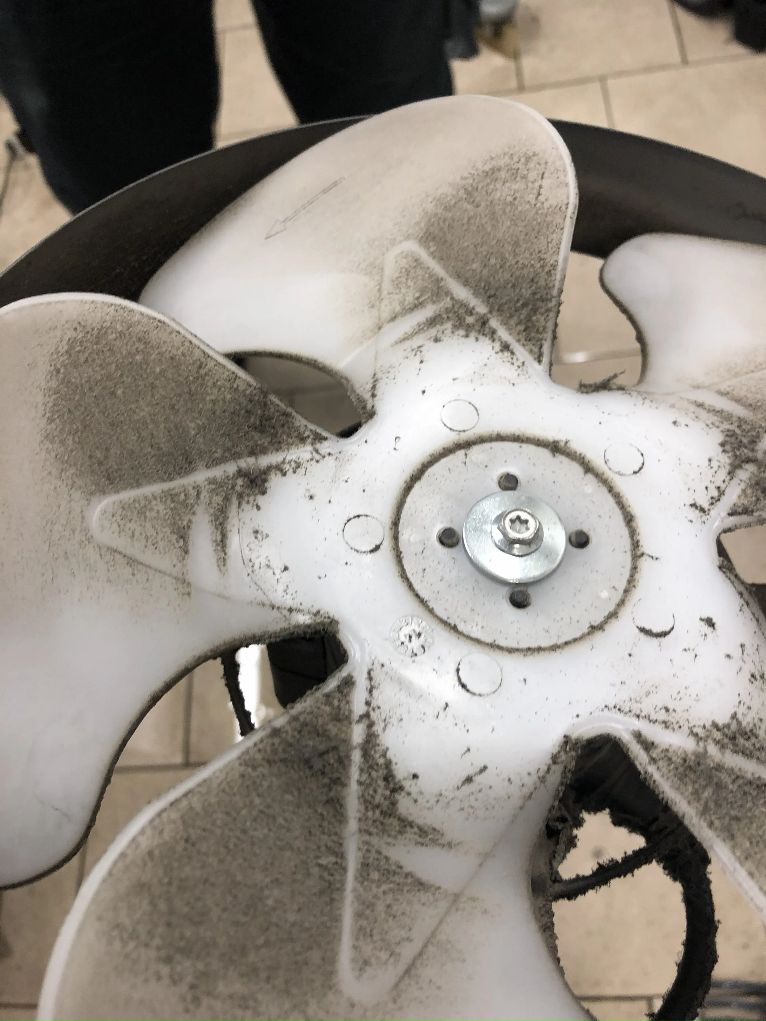 Moproreinigung — STRAHL Gebäudereinigung & Hausmeisterservice - Augsburg (5).jpg