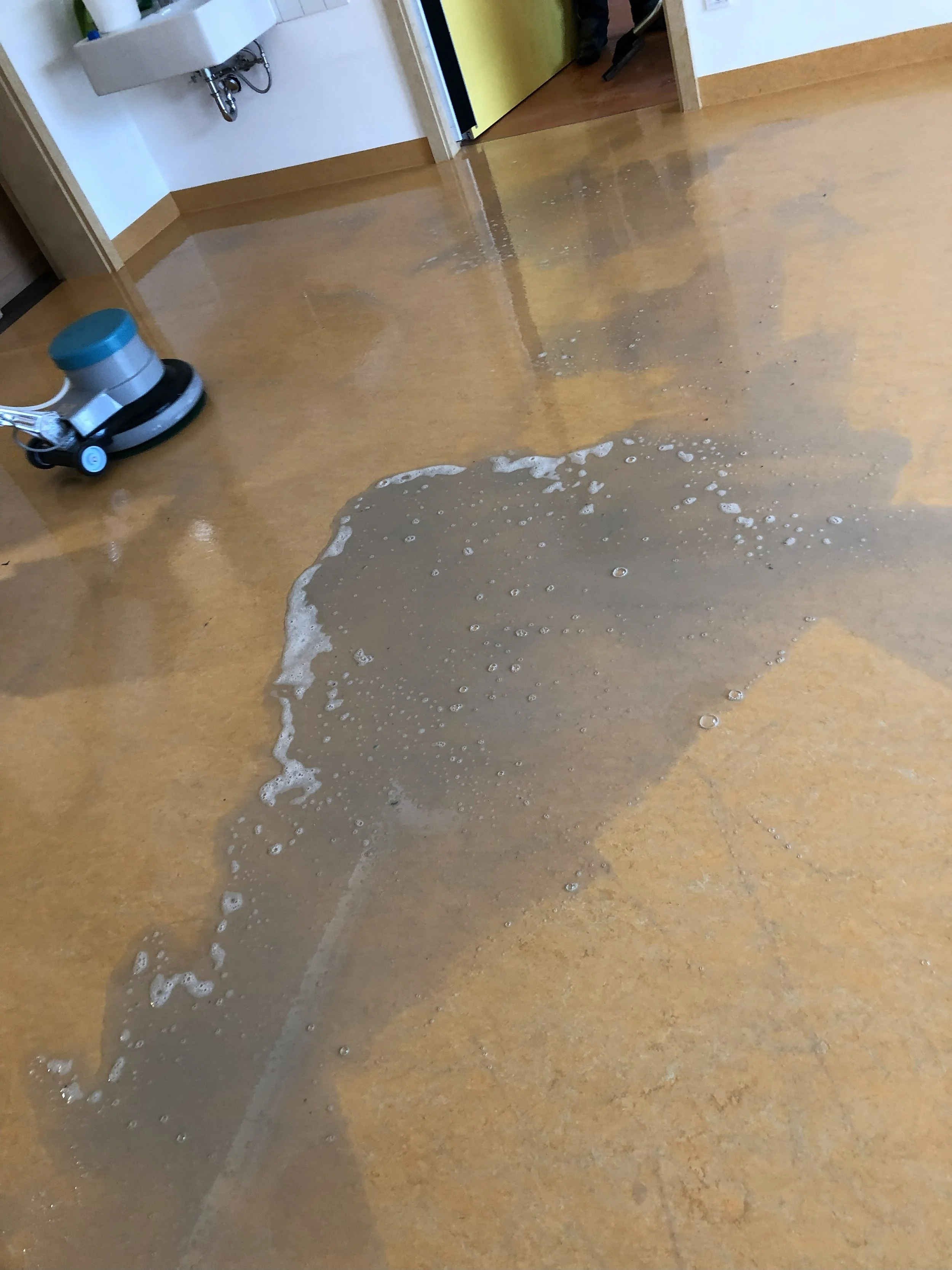 Grundreinigung — STRAHL Gebäudereinigung & Hausmeisterservice - Augsburg (18).jpg