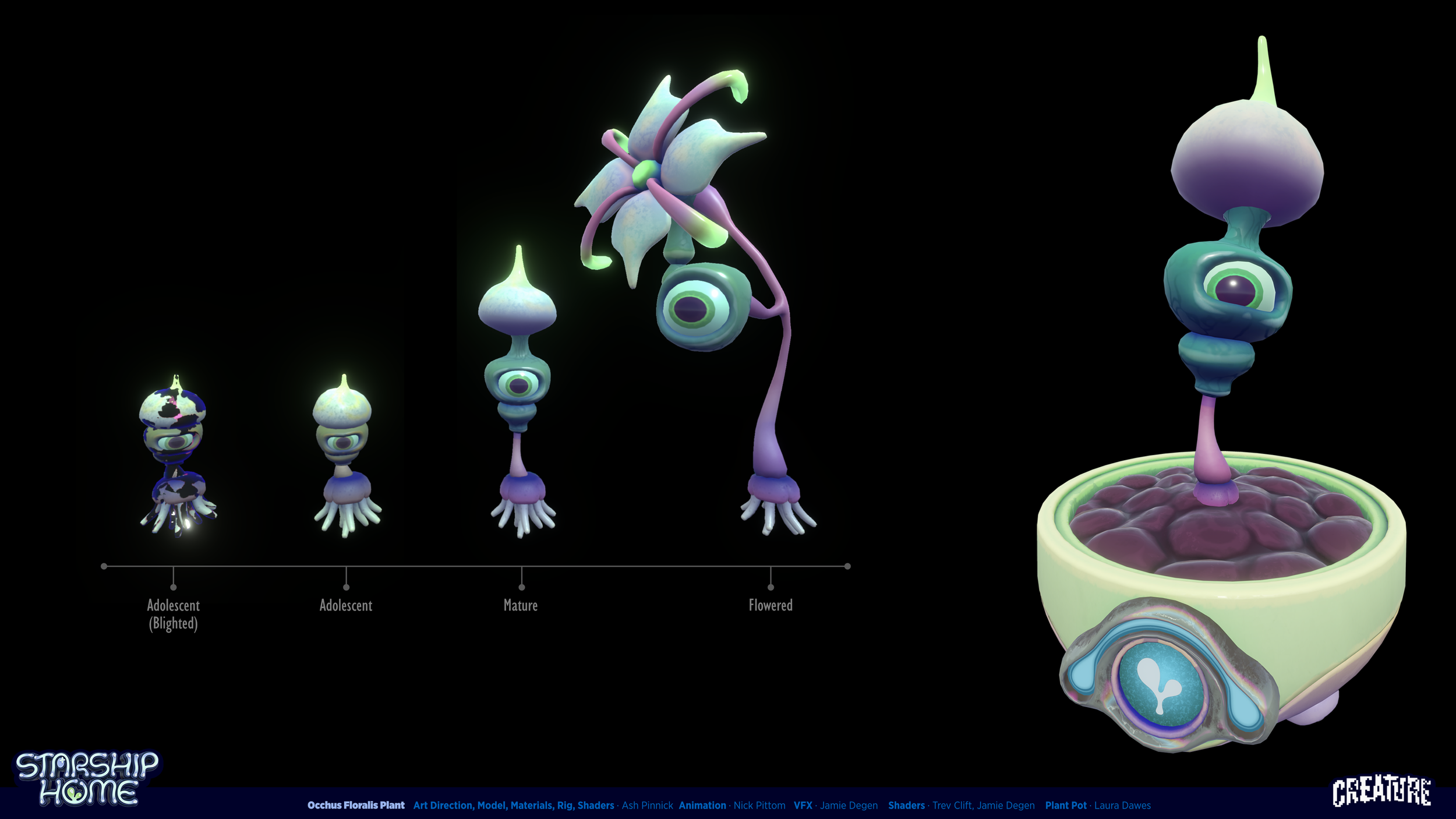 Digital illustration of the Occhus Floralis plant's growth stages from adolescent to flowering, with a detailed plant pot filled with purple rocks and a glowing emblem at the base.