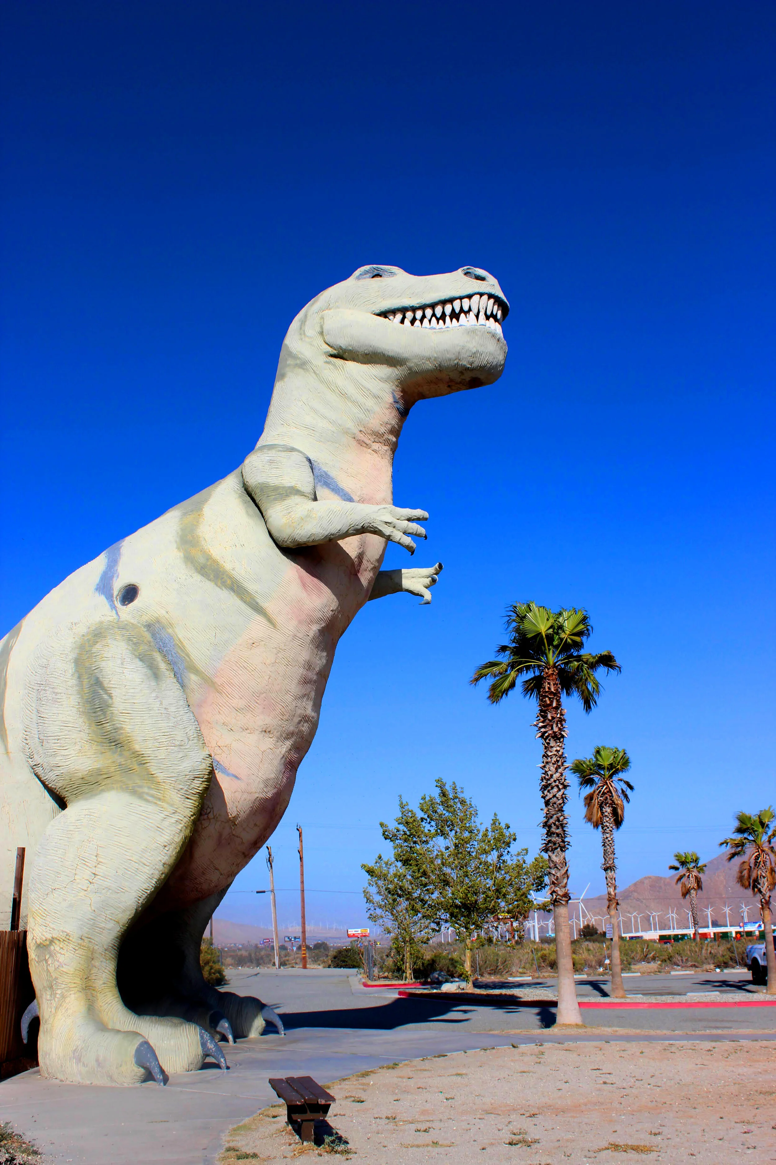 A large dinosaur statue resembling a T-Rex outside in a sunny, desert-like environment with a clear blue sky and palm trees.
