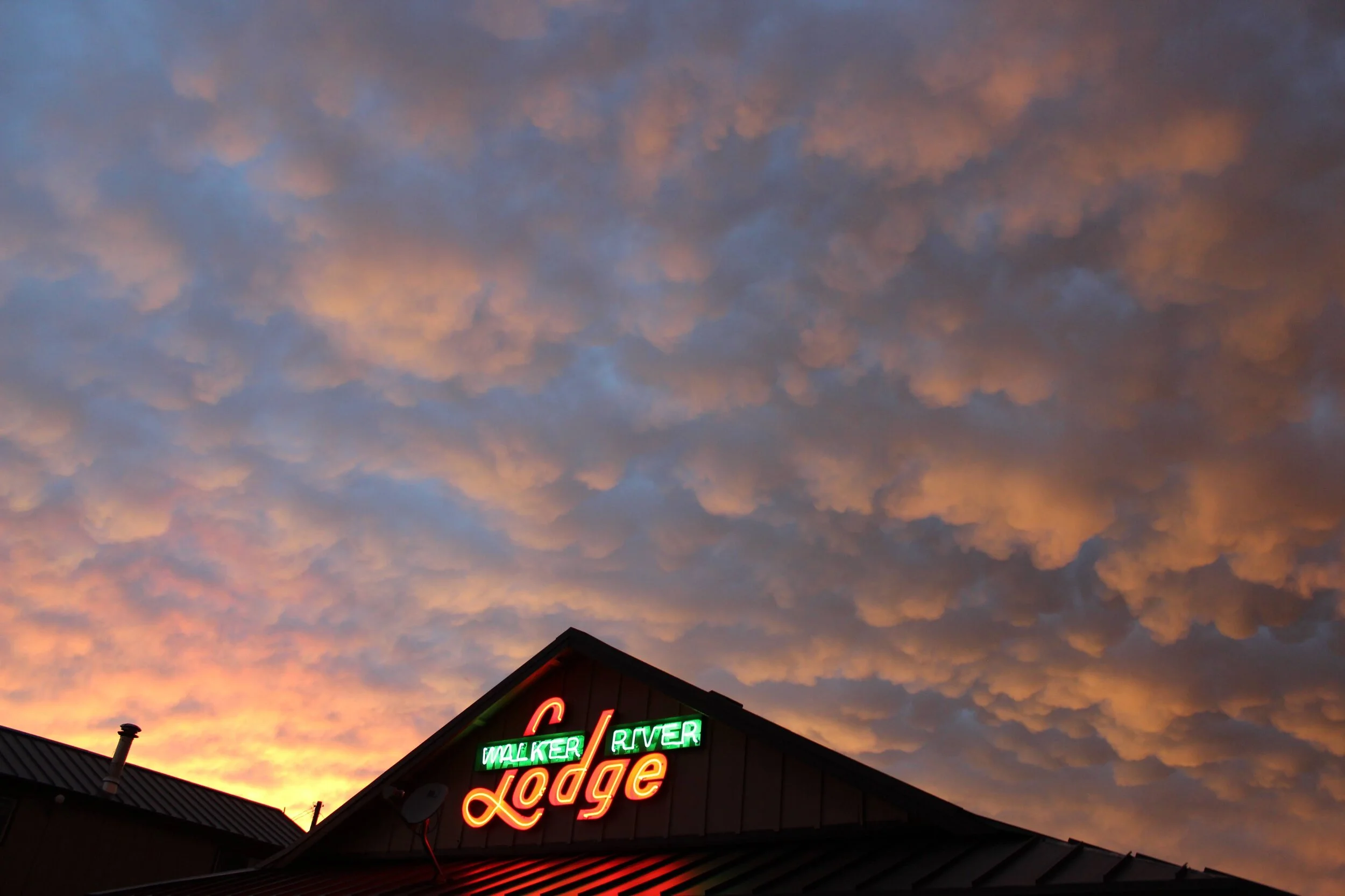 Sunset sky with pink and orange clouds above a building with a neon sign reading 'Walker River Lodge'.
