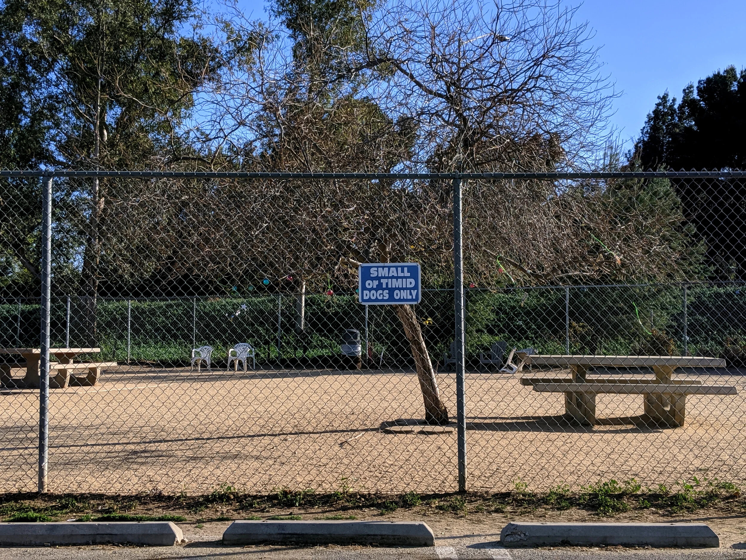 Fenced dog park with a sign that reads 'Small or Timid Dogs Only,' trees, benches, and a sandy ground.