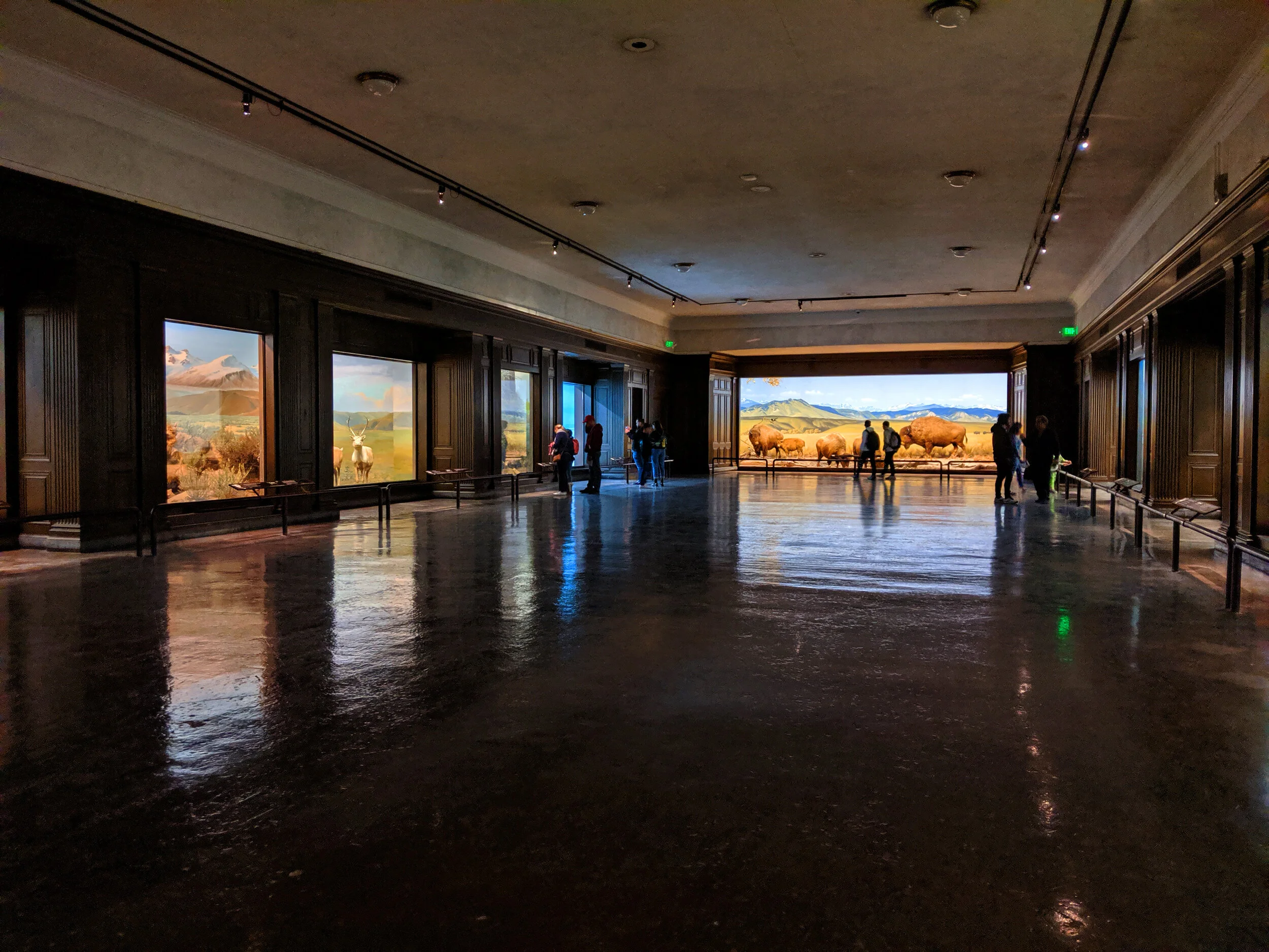 An indoor museum exhibit with large windows displaying immersive nature scenes, including mountains, animals, and landscapes, with visitors observing.