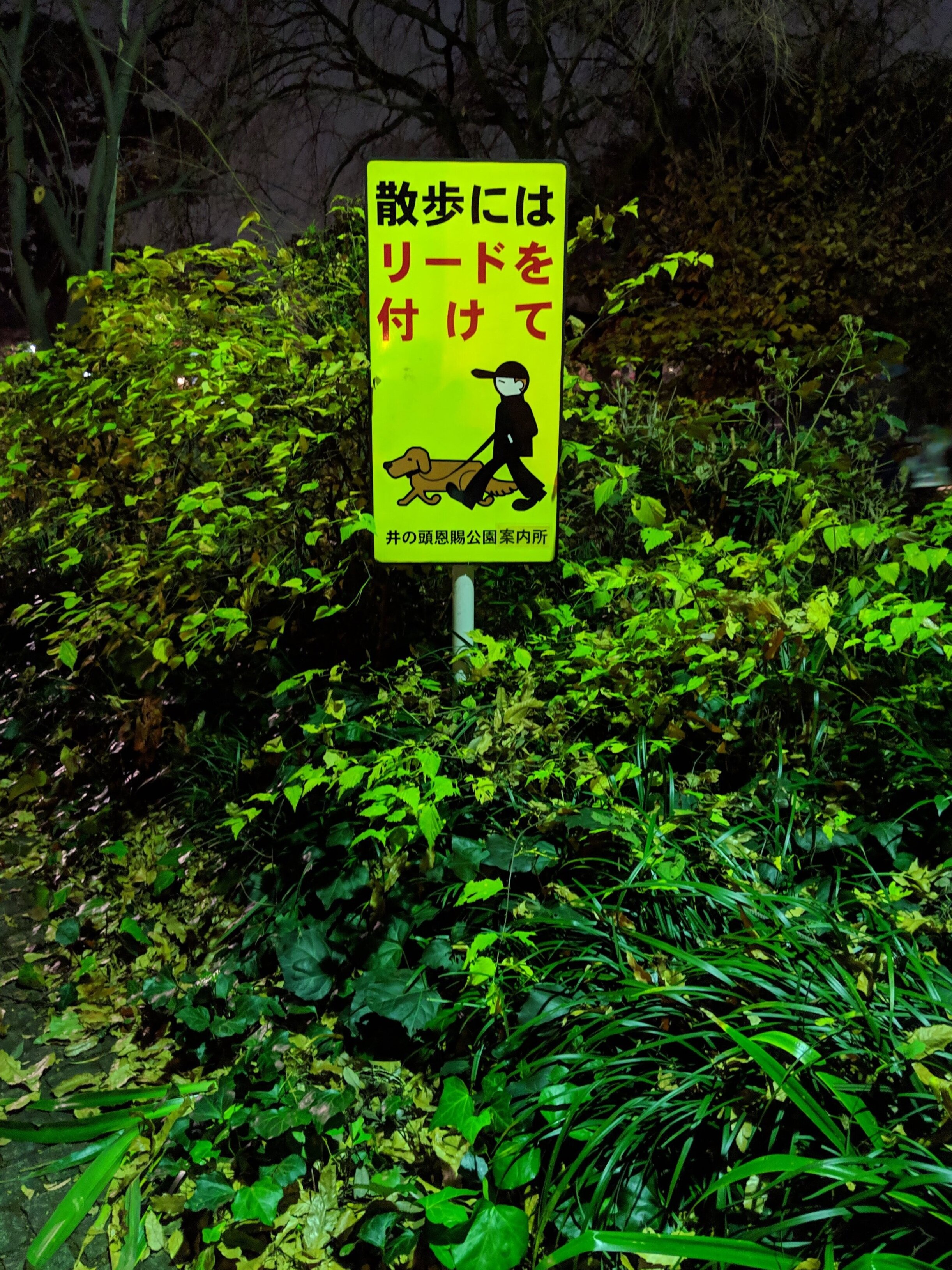 A safety sign in a park with green foliage in the background. The sign has Japanese text and a cartoon illustration of a person wearing a mask and a cap, walking a dog with a leash.