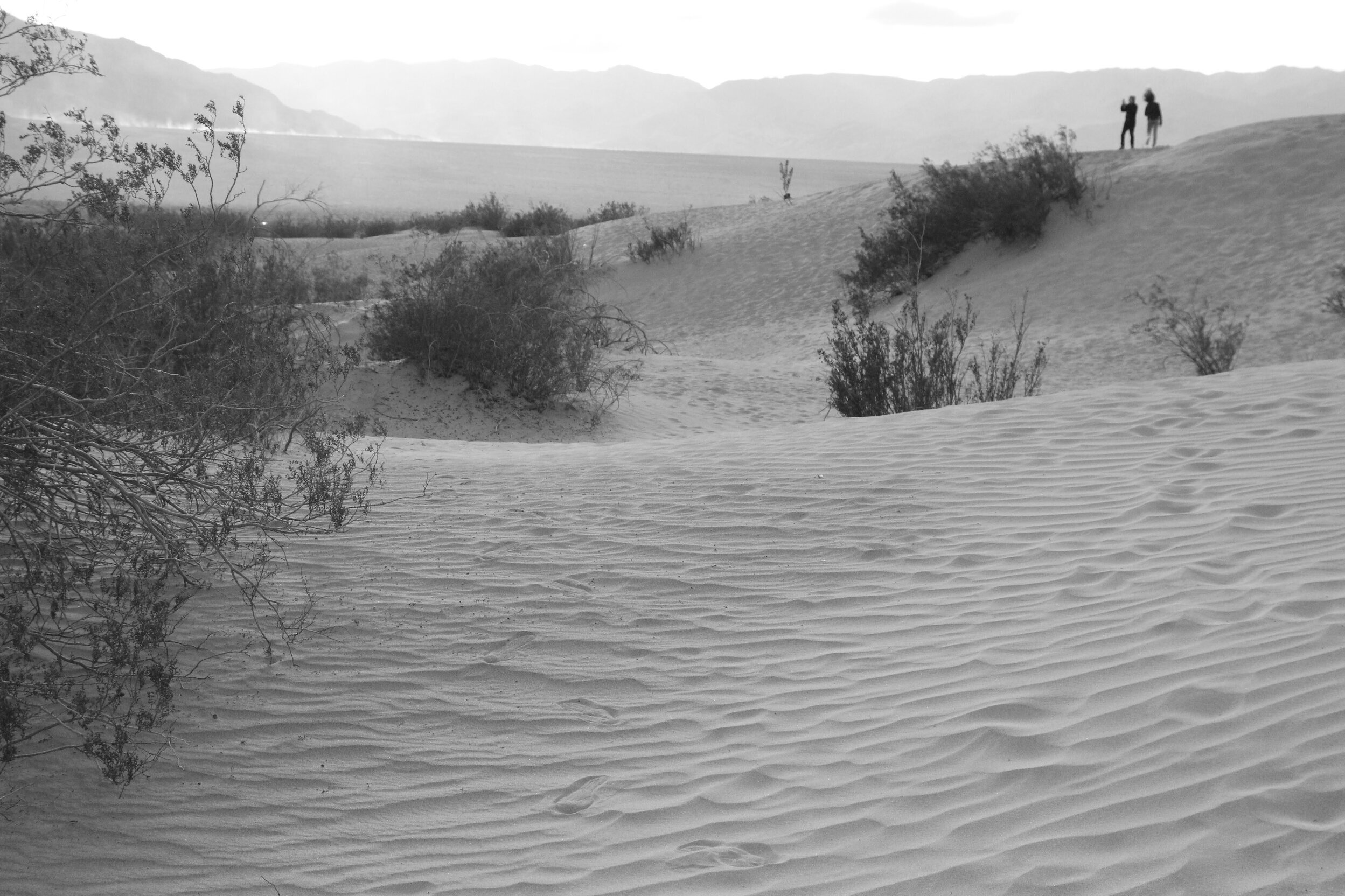 Sand dunes with sparse bushes in a desert landscape, mountains in the distance, and two people standing on a dune in the background.