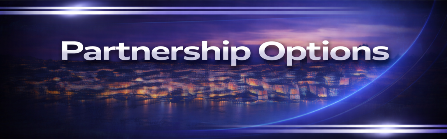 Night view of a city skyline with lights reflected on water, overlaid with the text 'Partnership Options' and abstract blue light streaks.