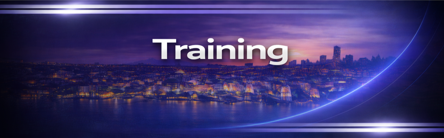 Night city skyline with water, illuminated buildings, and a purple sky, with the word 'Training' in large white letters.