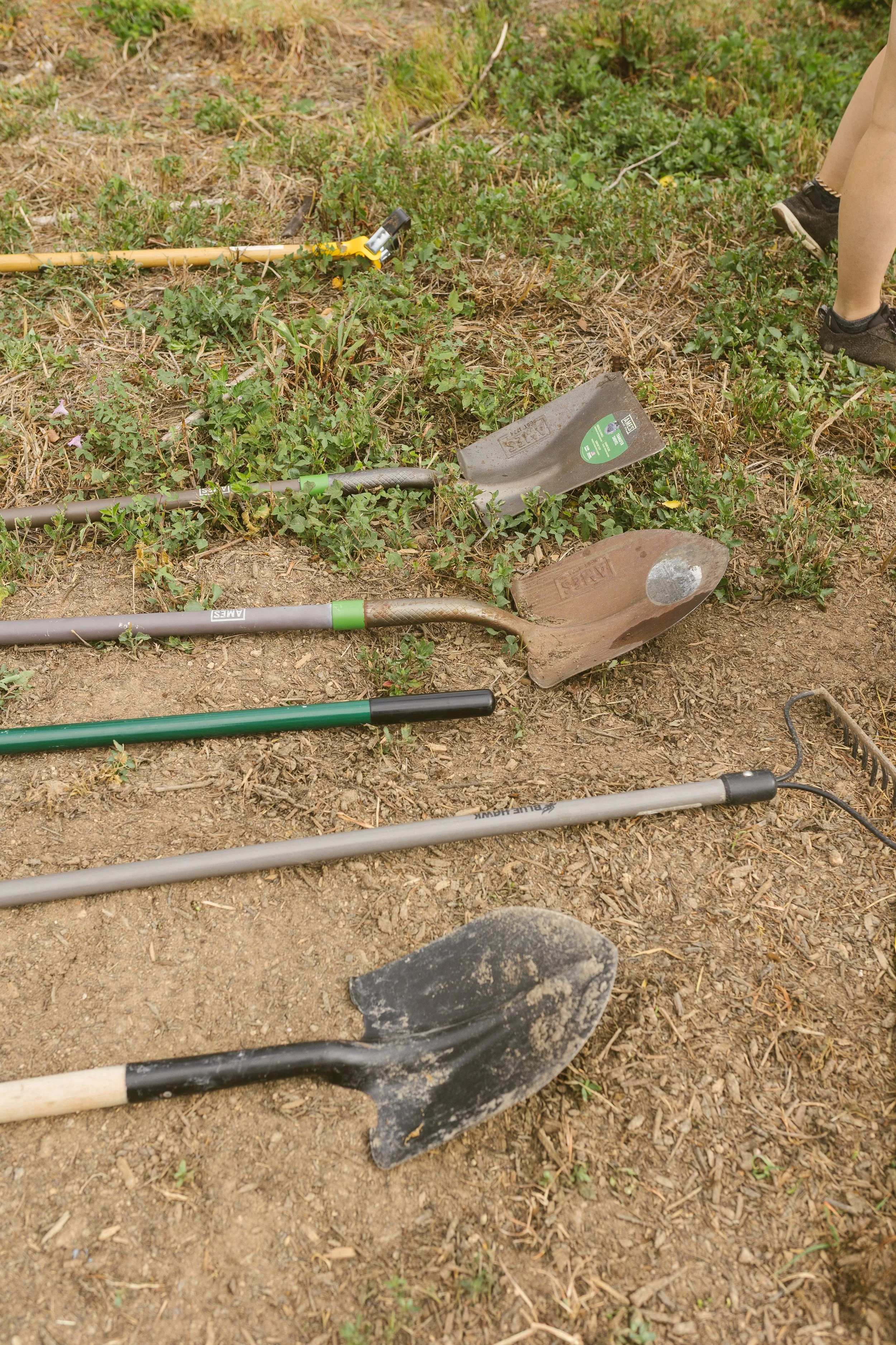 Noonday Farm Groundbreaking-11.jpeg