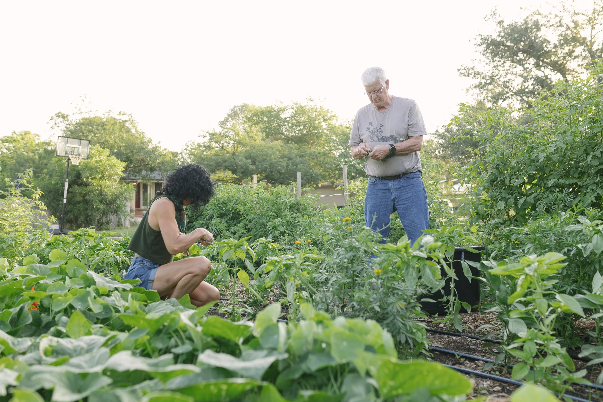 Climate Ready Neighbors NoonDay Farm Delivery Day-14.jpeg