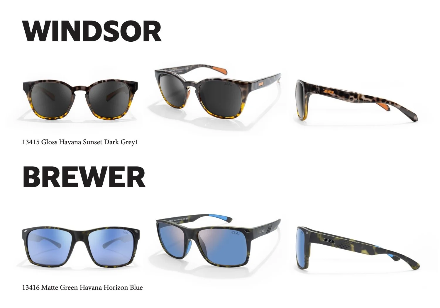 ZEAL SUNGLASSES_SCATTER PROOF3.jpg