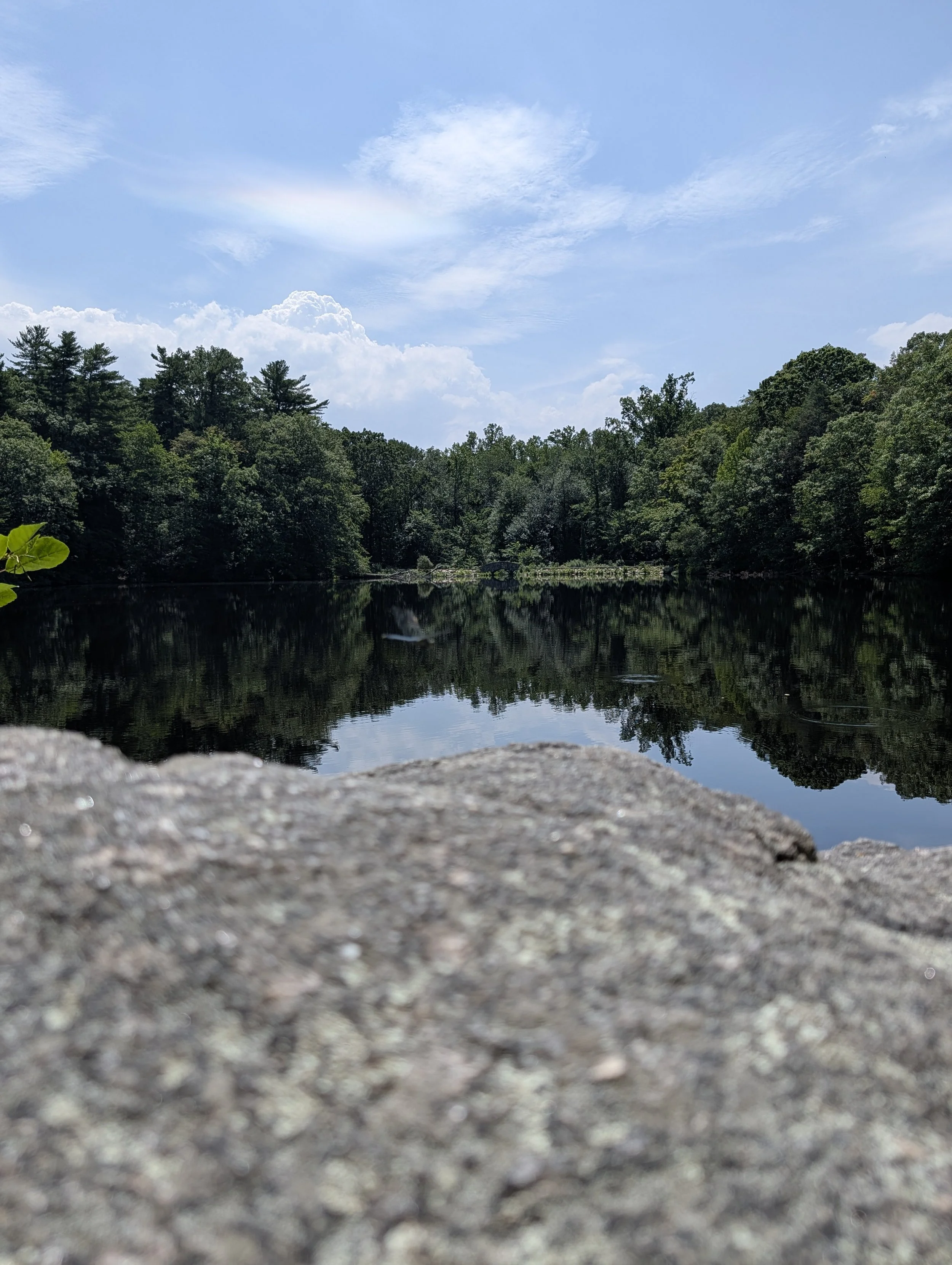 A view of a calm lake surrounded by lush green trees, with a partly cloudy sky and a faint rainbow in the distance.