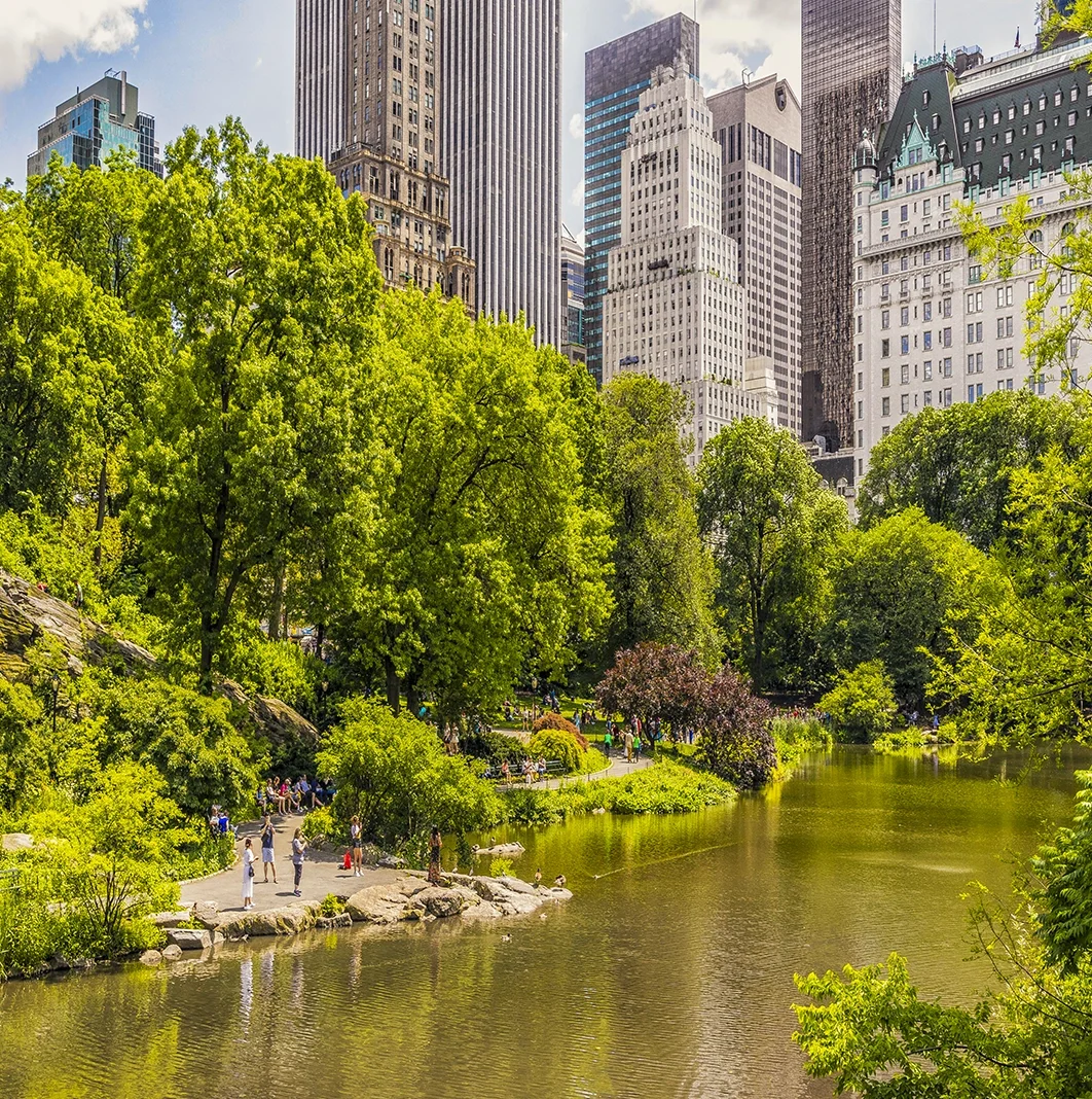 A city park with tall green trees and a pond, surrounded by skyscrapers on a bright day.