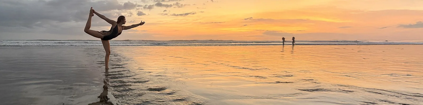 header_02.jpg