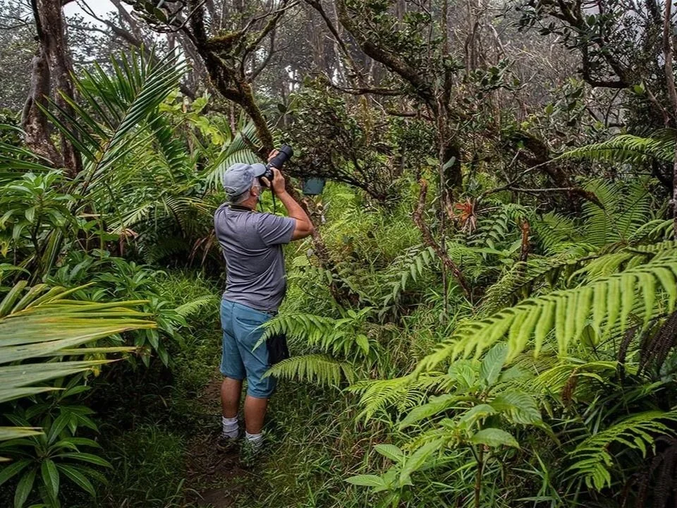 man taking pictures of dense green foliage in the Guanica Forest Biosphere Reserve. (Copy) (Copy) (Copy)