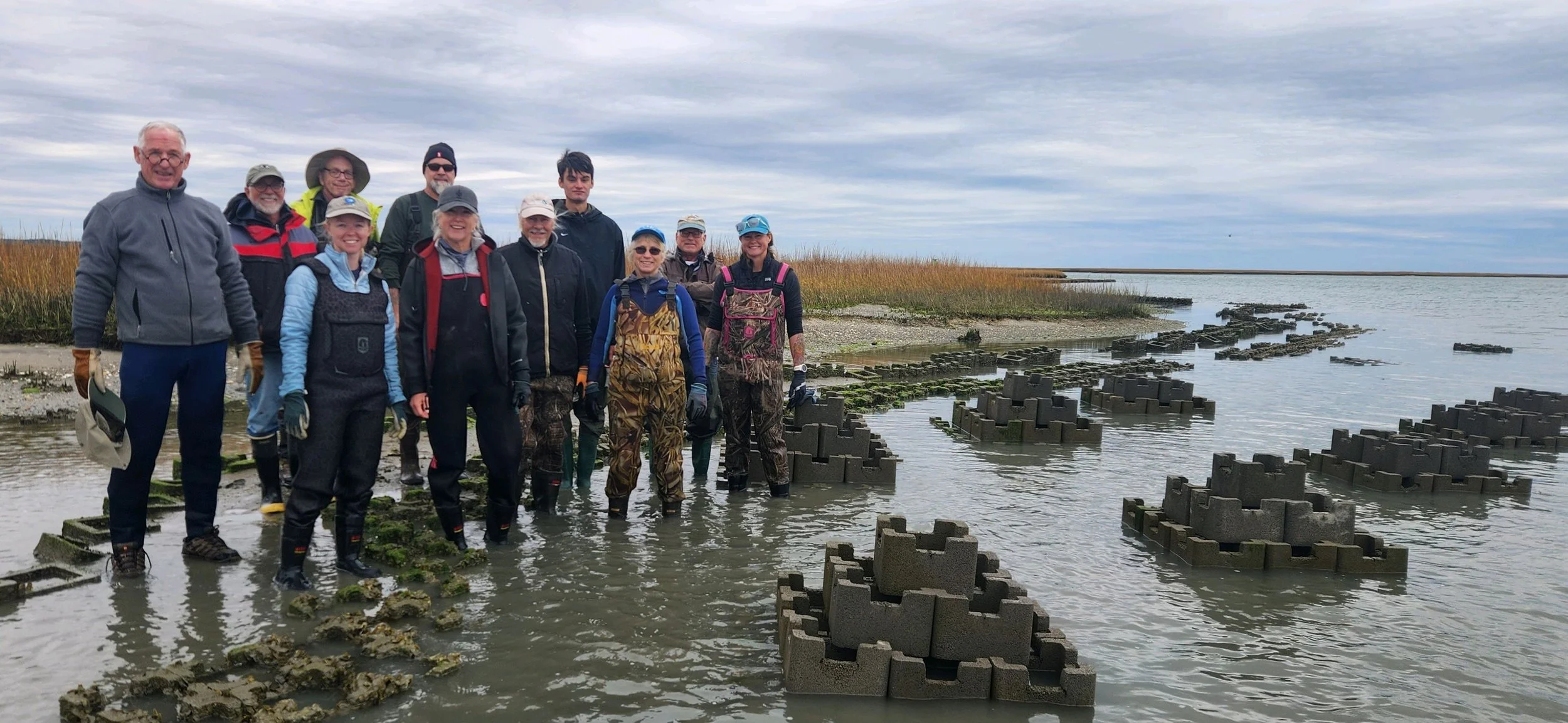 Group of people standing in shallow water by the shoreline of a marsh or estuary during cloudy weather, with some holding tools or equipment, and construction blocks visible in the water.