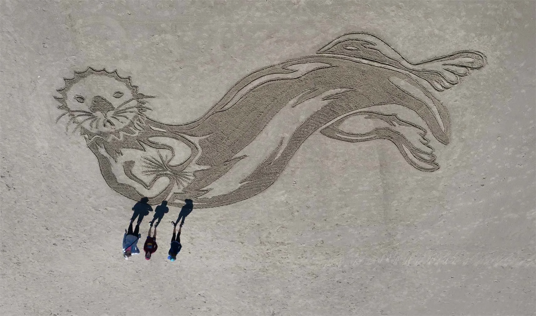 Cascade Head Biosphere Region community sand art contest showing a sea otter holding an urchin