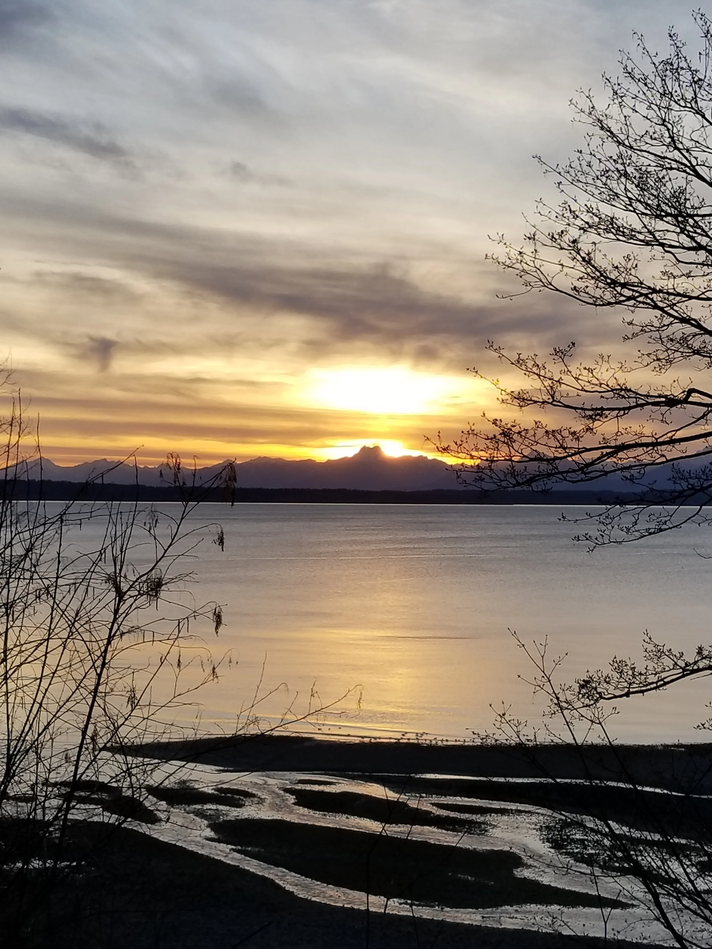 Sunset over a calm body of water with mountains in the distance, bare tree branches in the foreground, and cloudy sky.