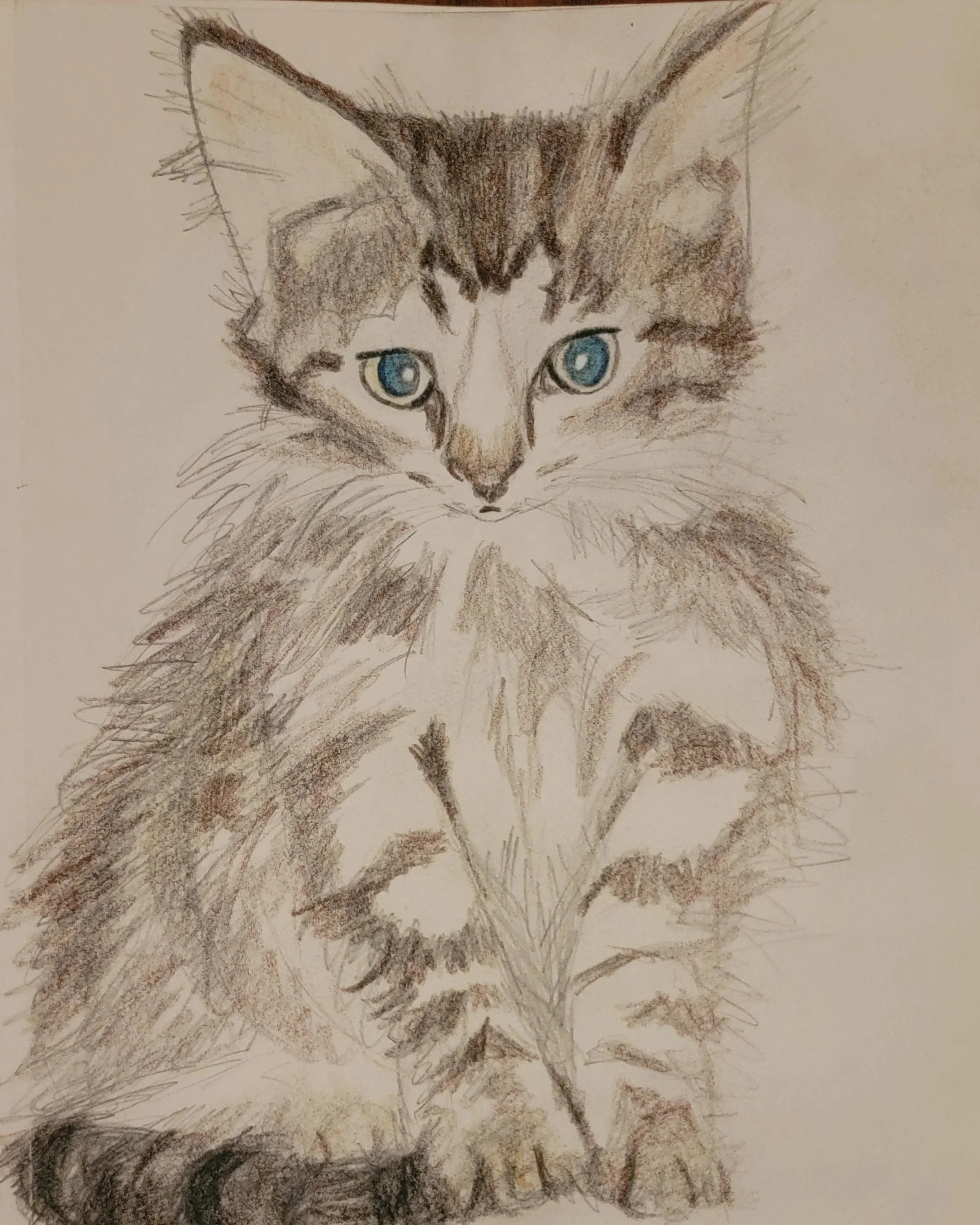 Hand-drawn portrait of a cat with blue eyes, detailed fur, and pointed ears.