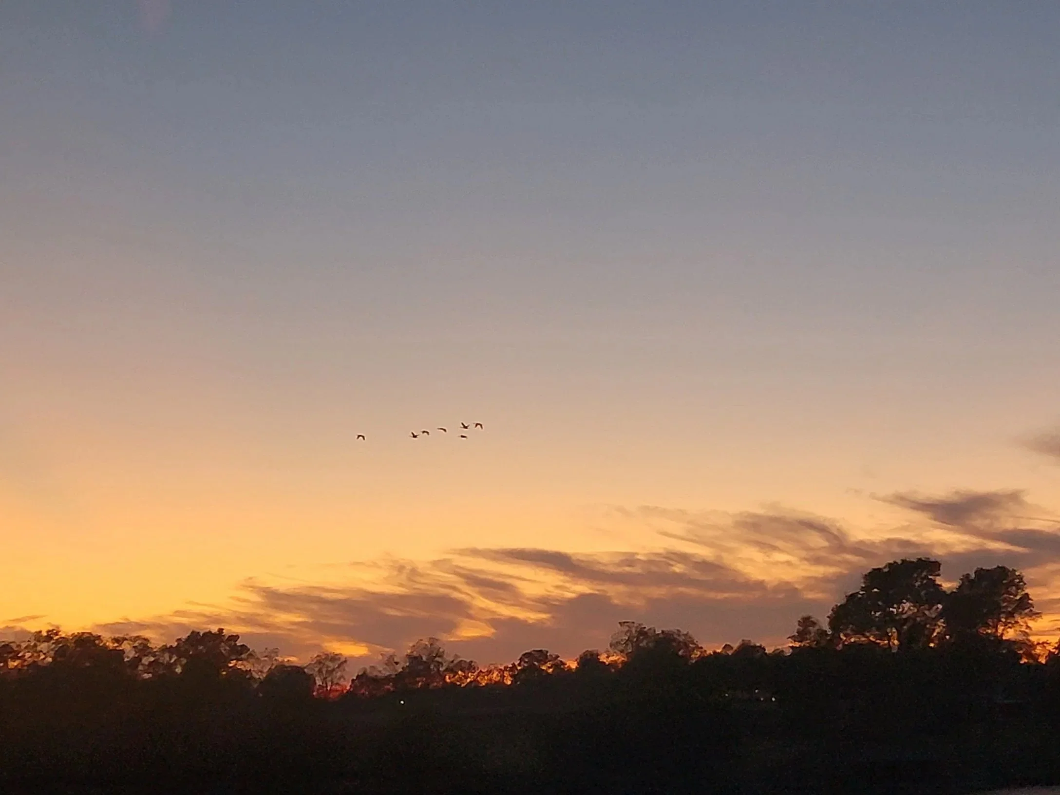 A small flock of birds flying in formation over a warm yellow and orange sunset.
