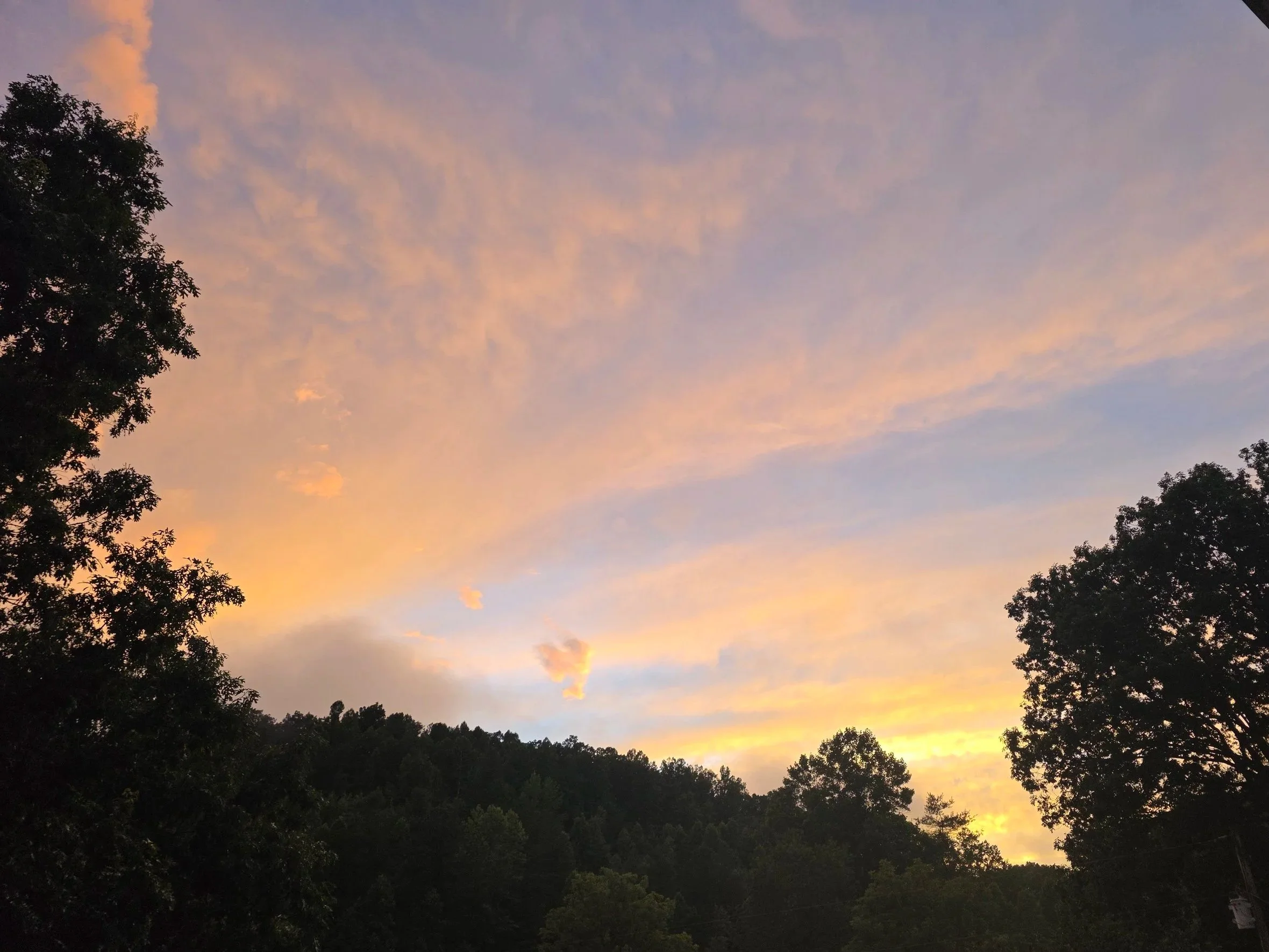 A lovely pastel colored sunset overlooking a forested landscape. One small cloud shaped like a heart.