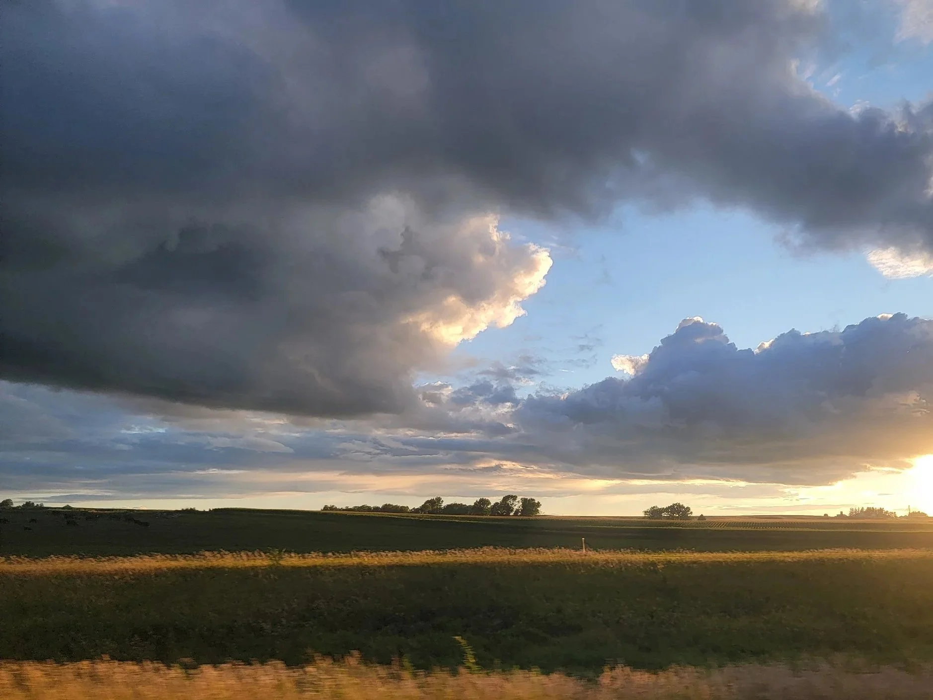 Ominous clouds rolling in over bright golden plains during sunset.