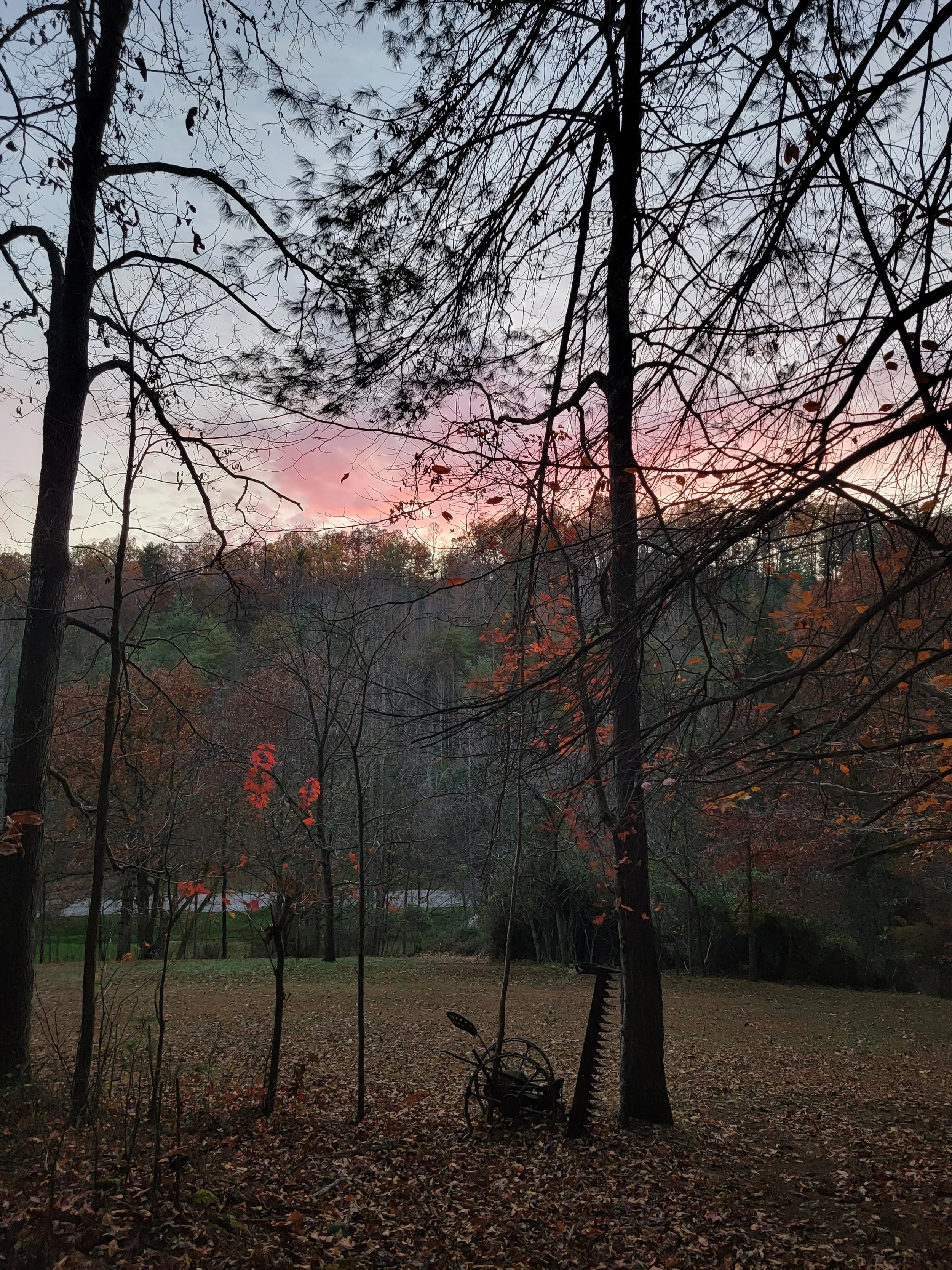 A blush colored sunset over autumn trees and old farming equipment.
