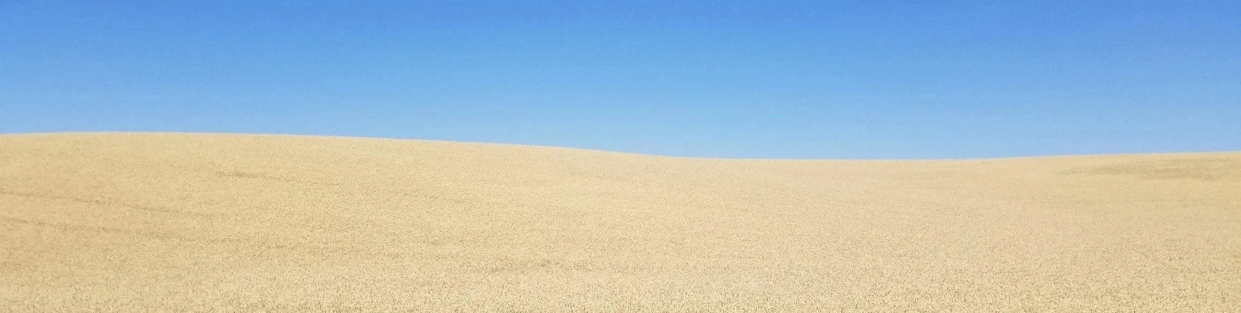 A landscape of sand dunes under a clear blue sky.