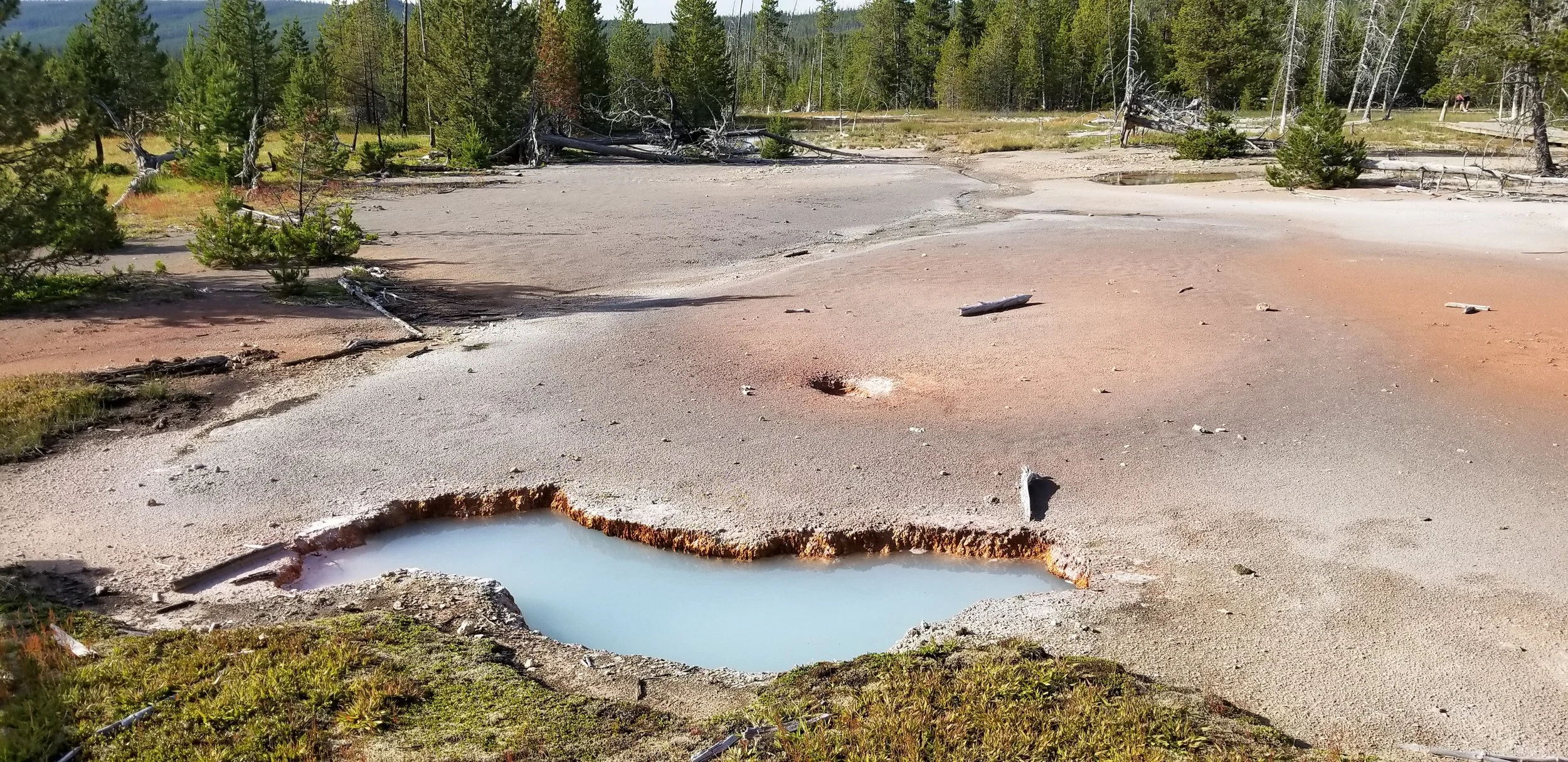 Geothermal hot spring in a forested area with trees and mountains in the background, with mineral deposits and steam rising from the water.