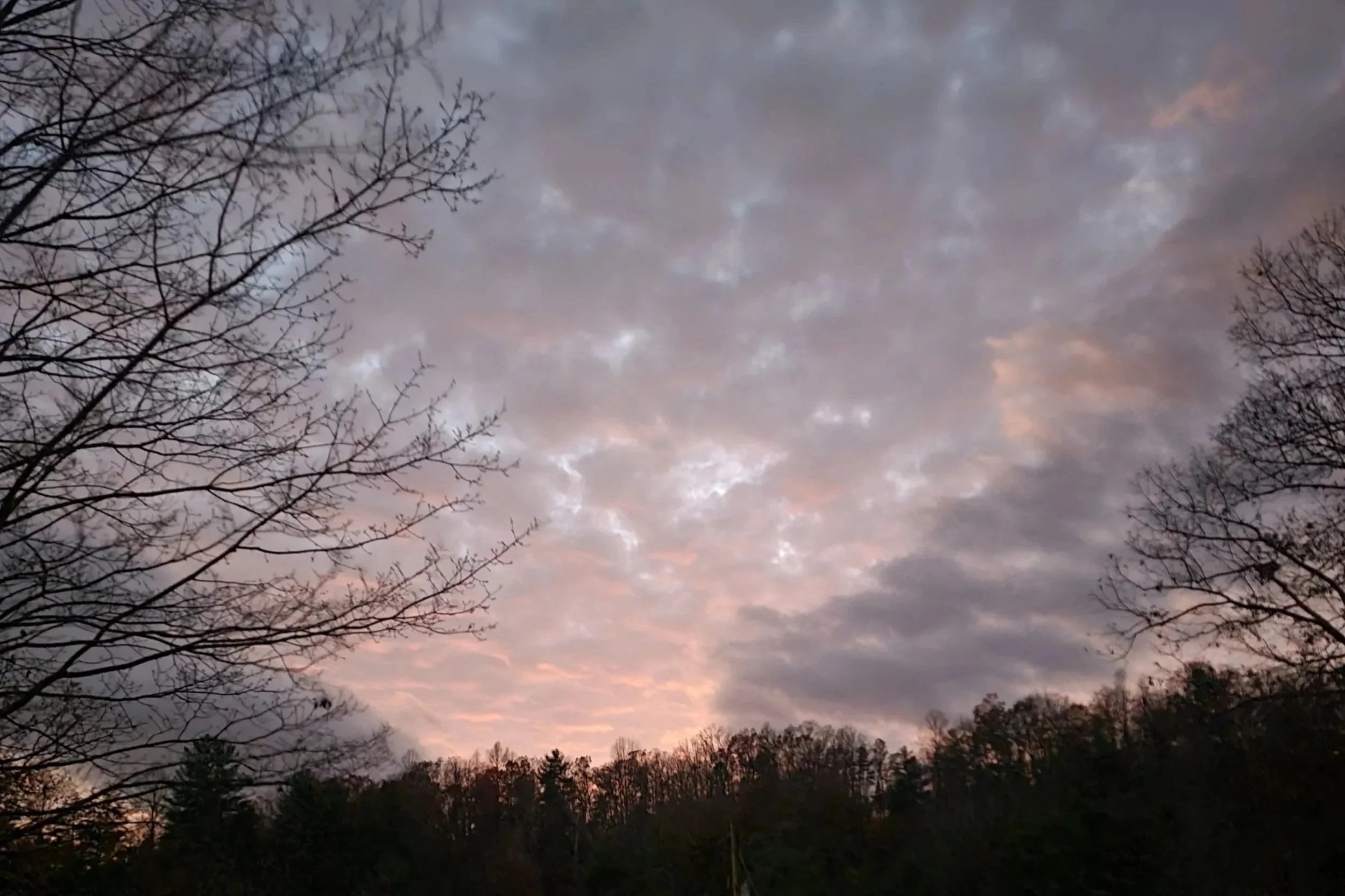 Sky during sunset with pink and gray clouds, silhouetted trees with bare branches, and a forested hillside in the background.
