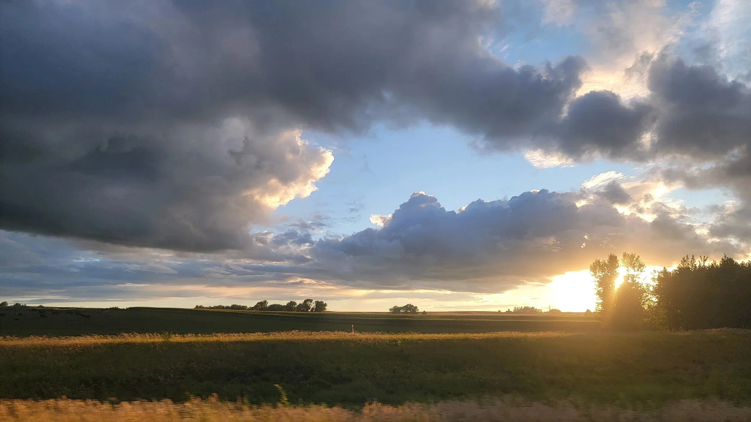 A rural landscape at sunset with dark clouds in the sky, a field of grass, and trees silhouetted against the setting sun.