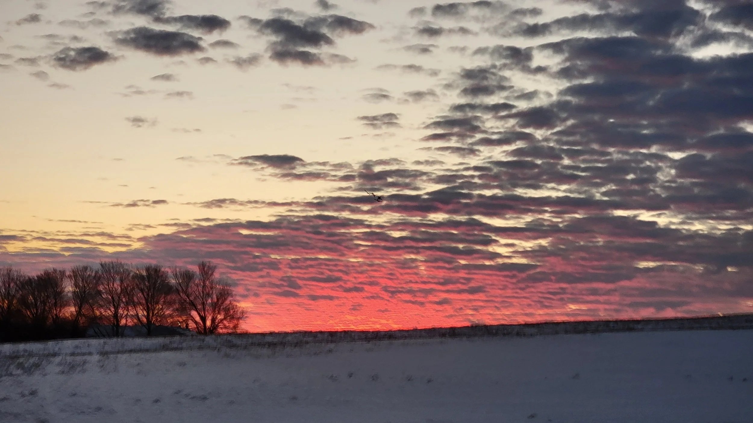 A winter landscape at sunset with a snow-covered field in the foreground and bare trees near the horizon. The sky is filled with layered clouds illuminated with pink and purple hues from the setting sun.