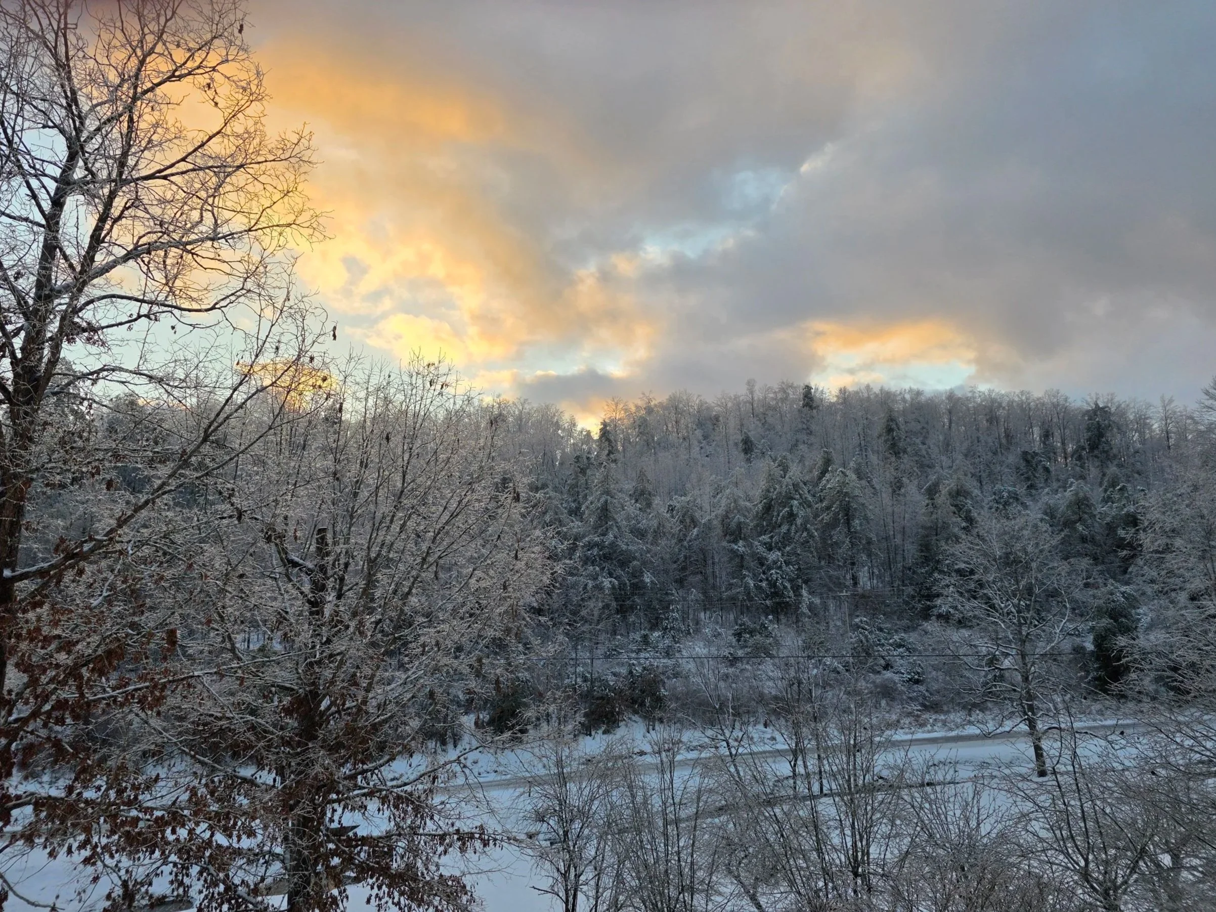 A buttery yellow sunset in winter, above a snow covered forest and an icy rural road.