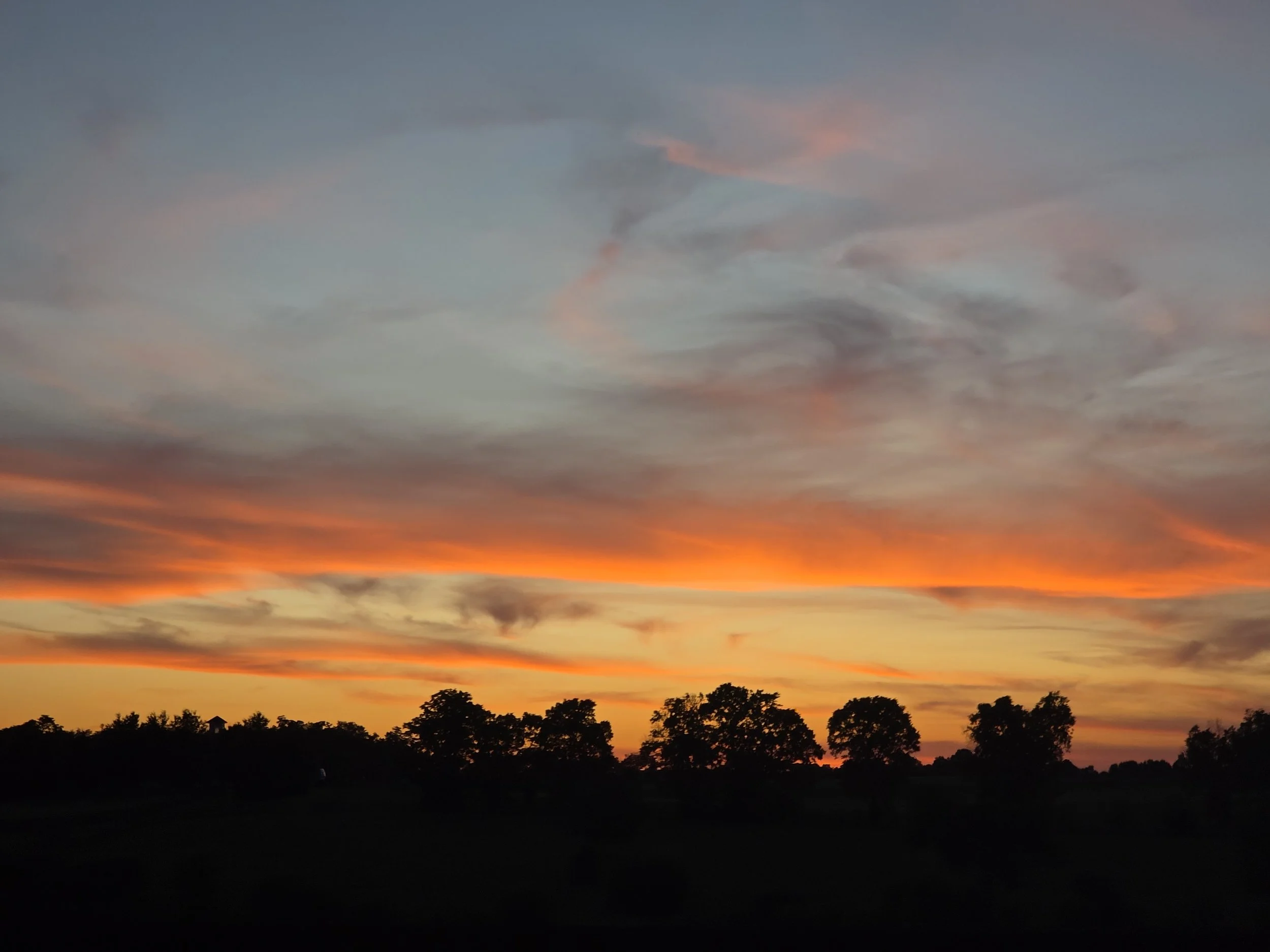 An incredibly vivid, deep orange sunset above a dark treeline.