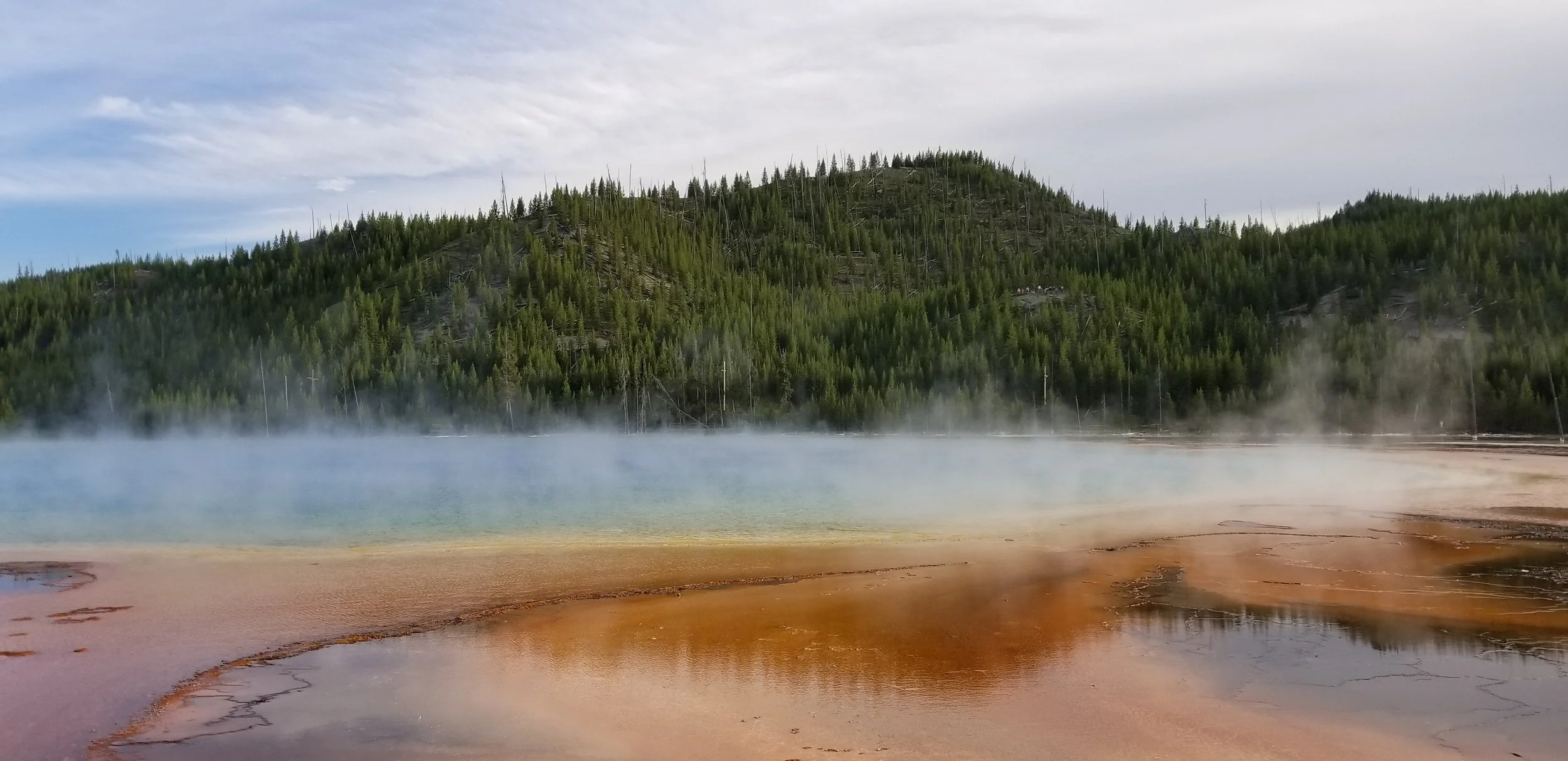 Hot spring with steaming water in a geothermal area, surrounded by trees and green hills under a cloudy sky.