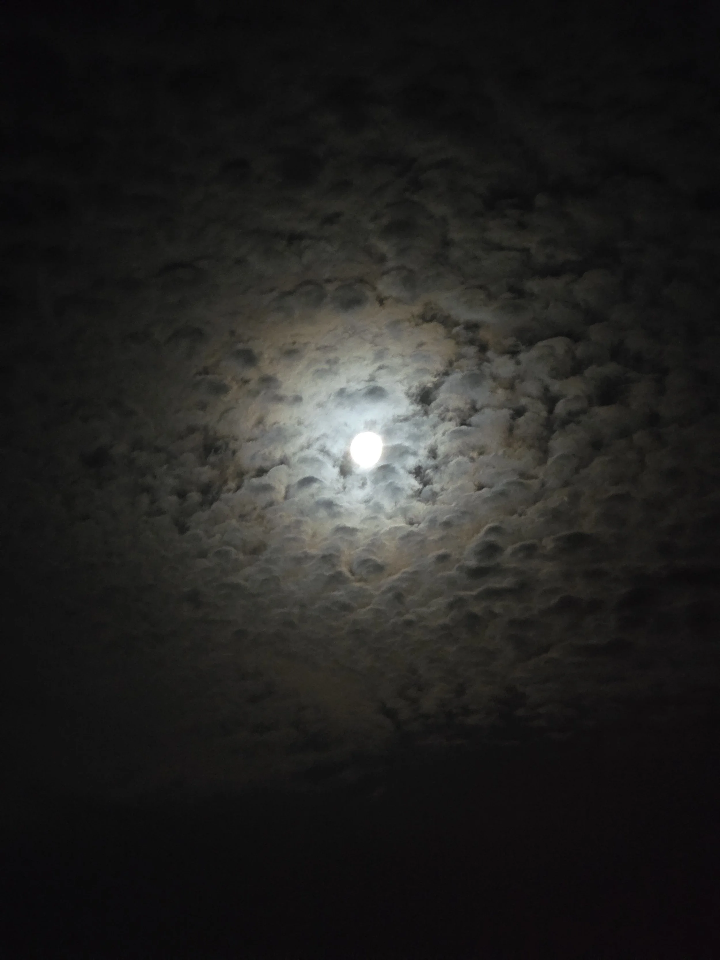 A dense sheet of clouds that look like tufts of cotton with the moon gleaming from behind.