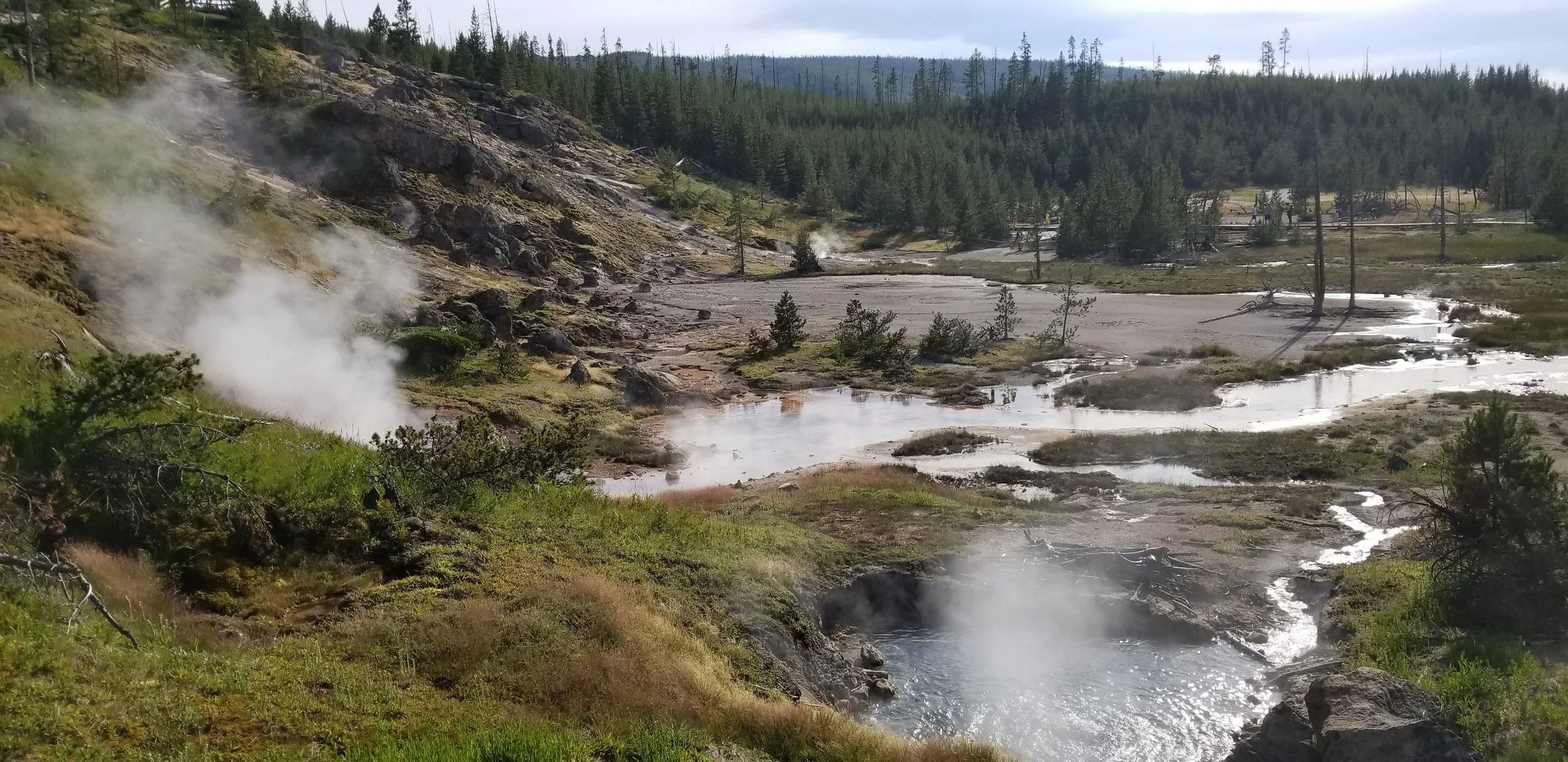 Hot spring with steam rising from the water, surrounded by green grass and trees, with a forested hillside in the background.