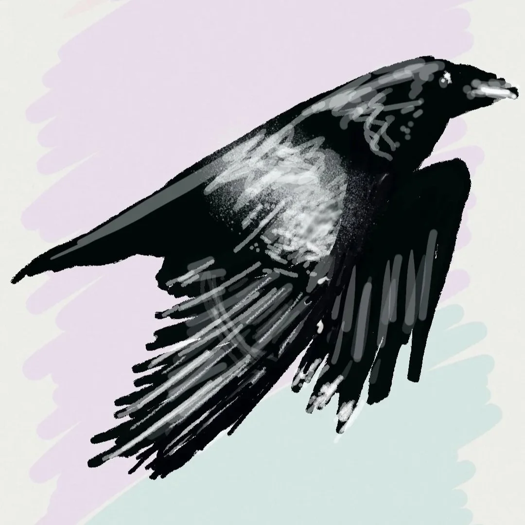 A digital drawing of a black bird with white accents on its wings and tail, set against a pastel background.