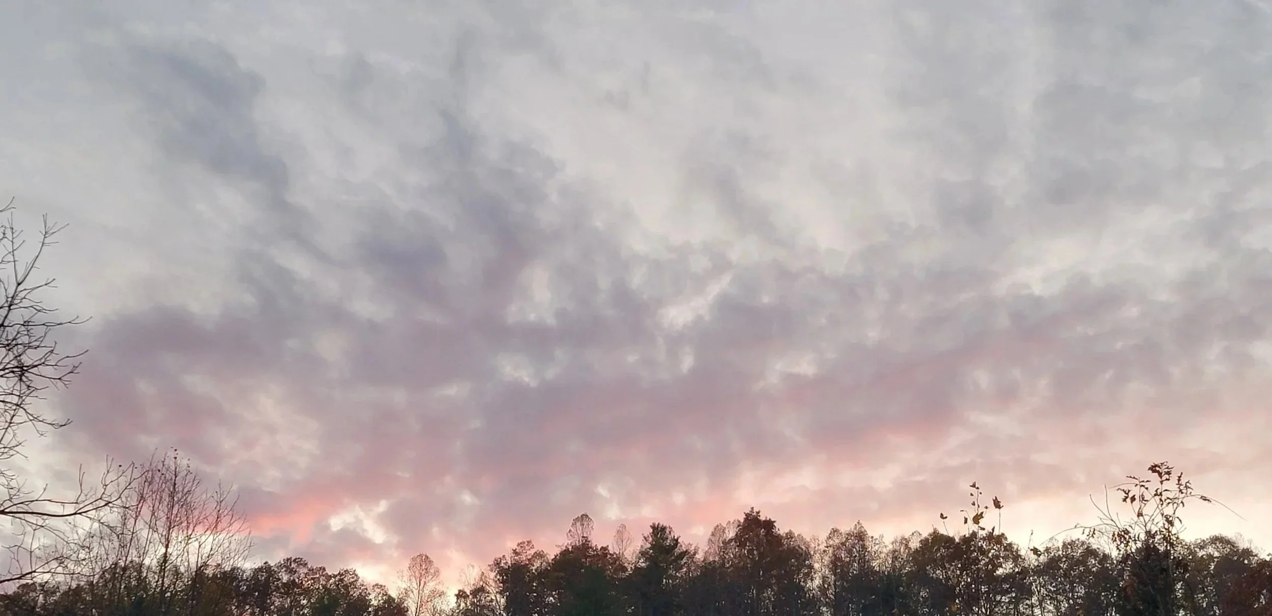 Cloudy sky at sunset with a silhouette of trees at the bottom.