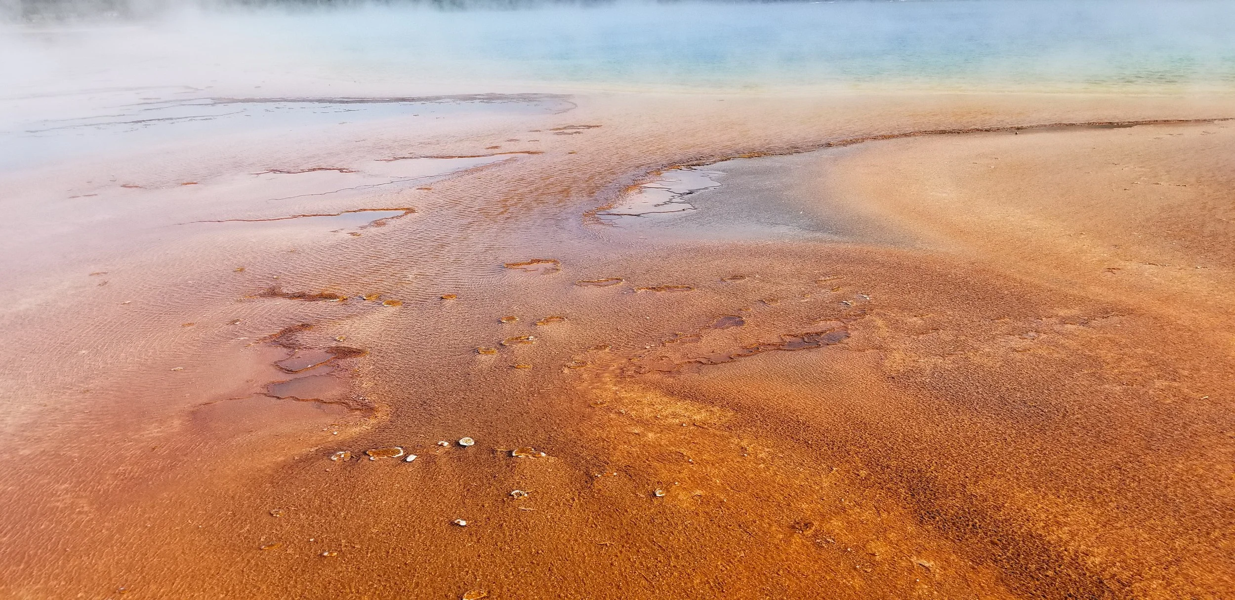Yellowstone Caldera Thermal Pool