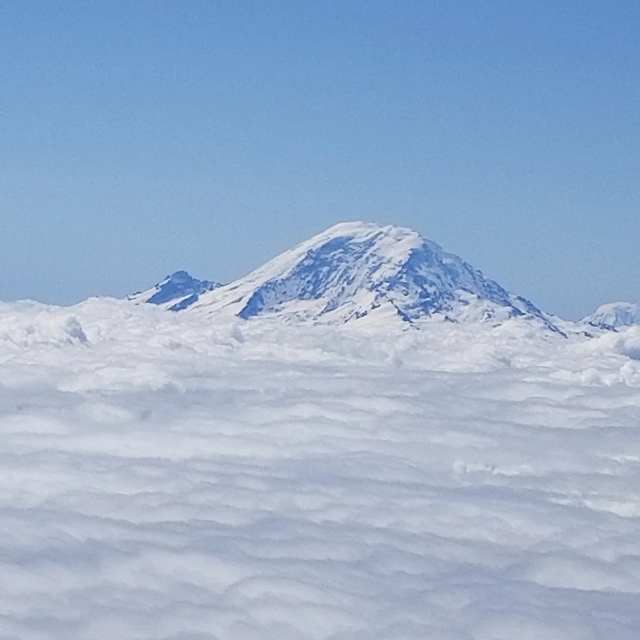 Snow-covered mountain peak rising above a sea of clouds on a clear day.