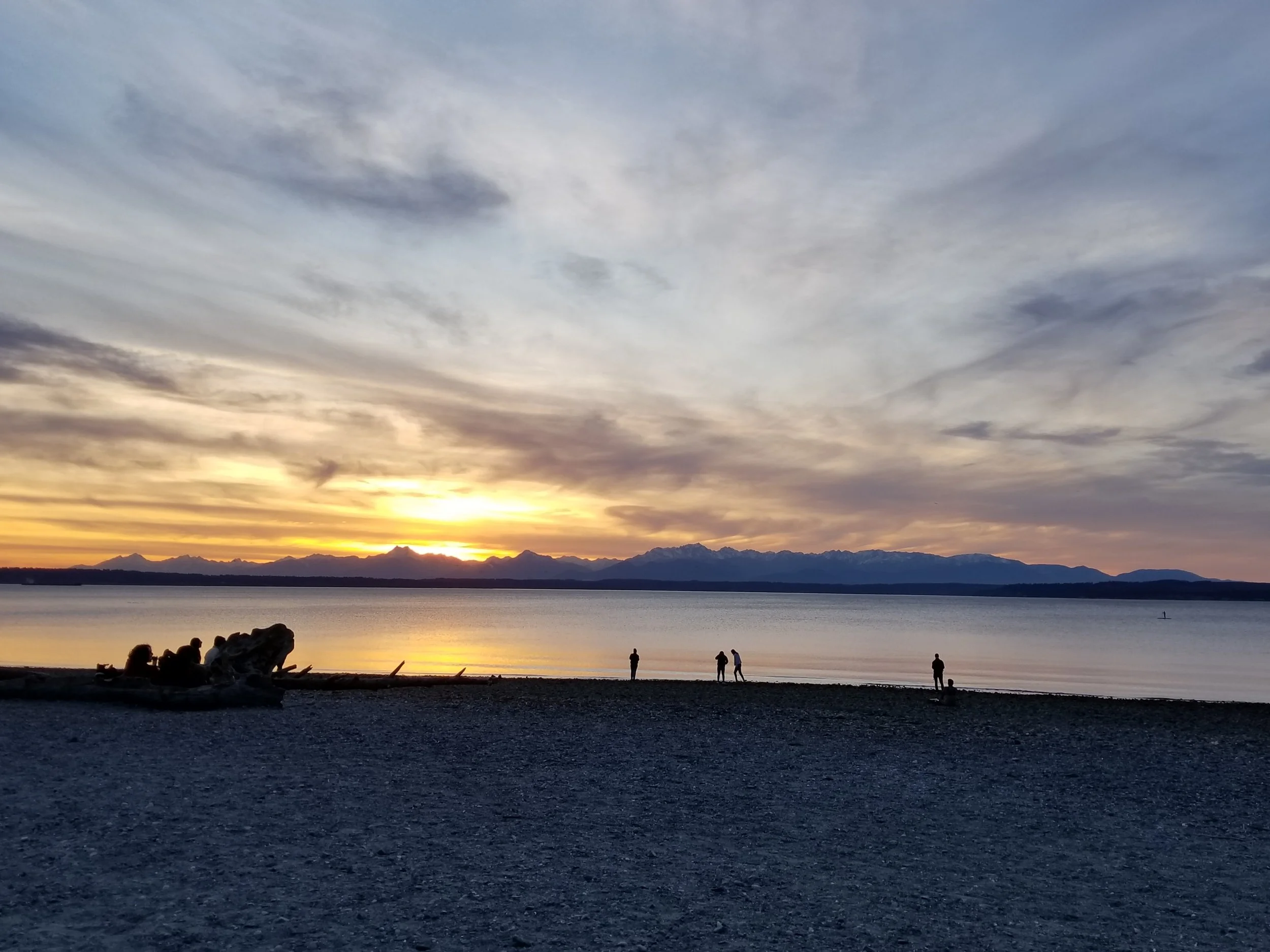 Ramblers and driftwood at sunset on the Puget Sound.