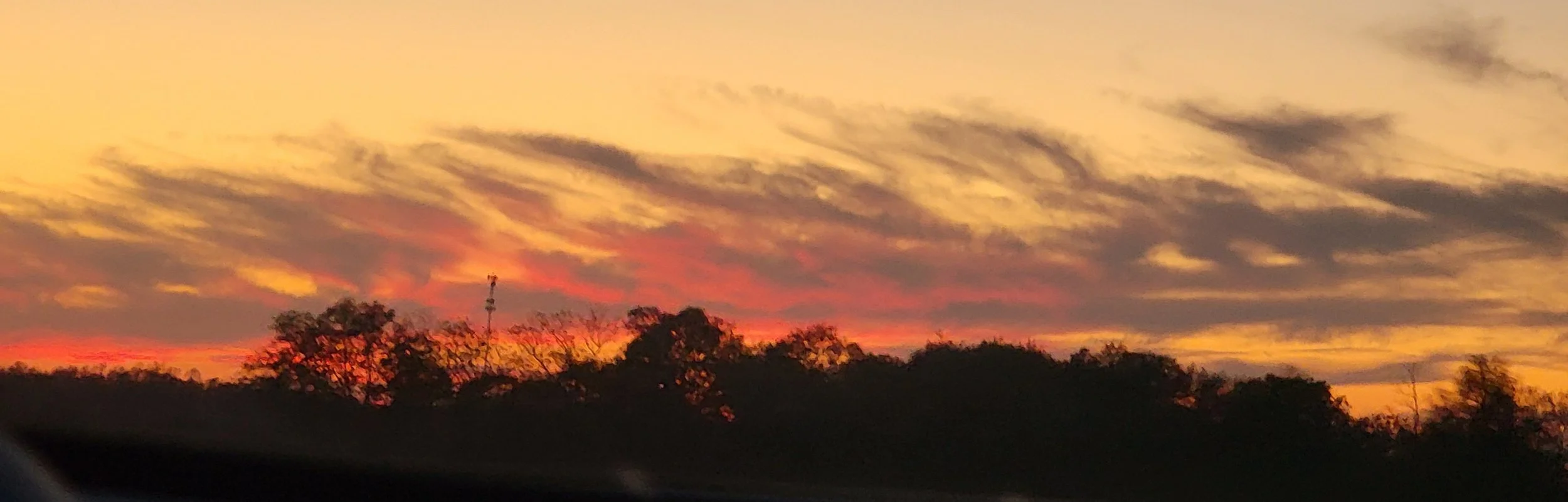 A colorful sunset with a mix of orange, red, pink, and yellow hues in the sky above tree silhouettes.
