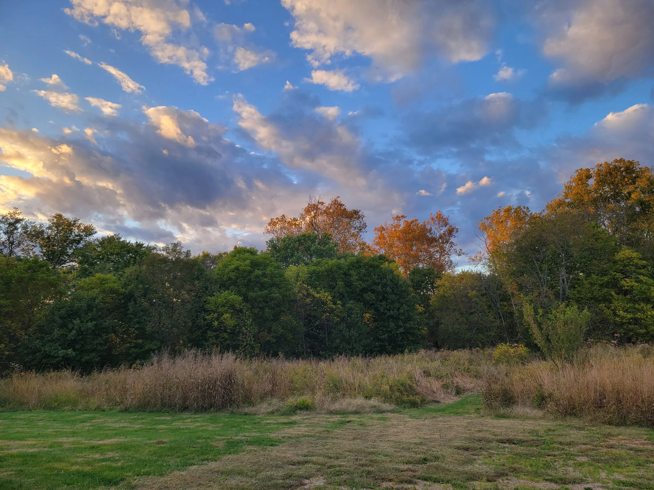 A landscape featuring a grassy foreground, a dense line of green and orange trees, and a partly cloudy sky with the sunlight illuminating part of the clouds.