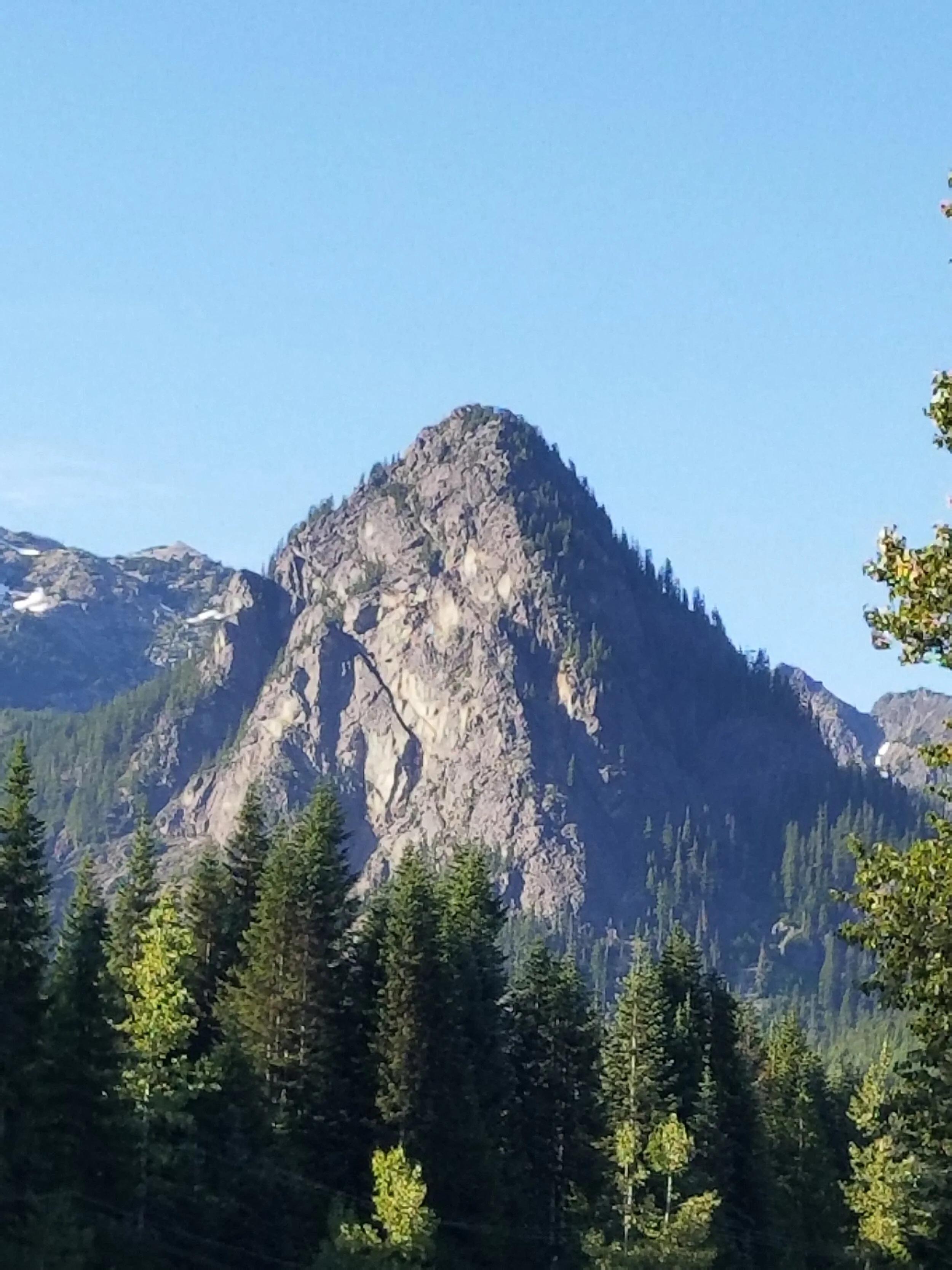 A rocky mountain peak surrounded by dense evergreen trees under a clear blue sky.