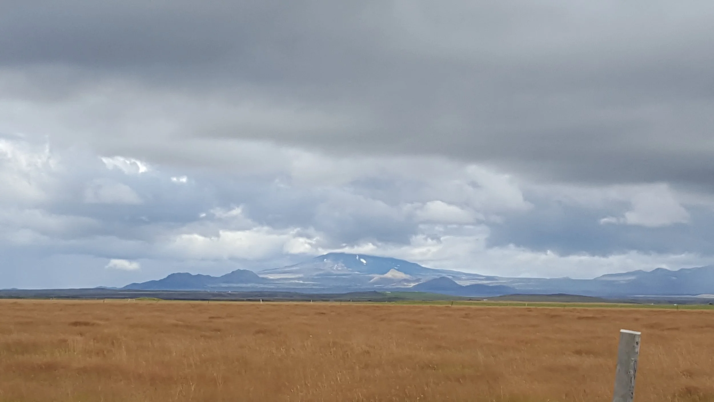 Open field with tall, golden grass, distant mountains (Hekla), grey overcast sky with some breaks in the clouds.