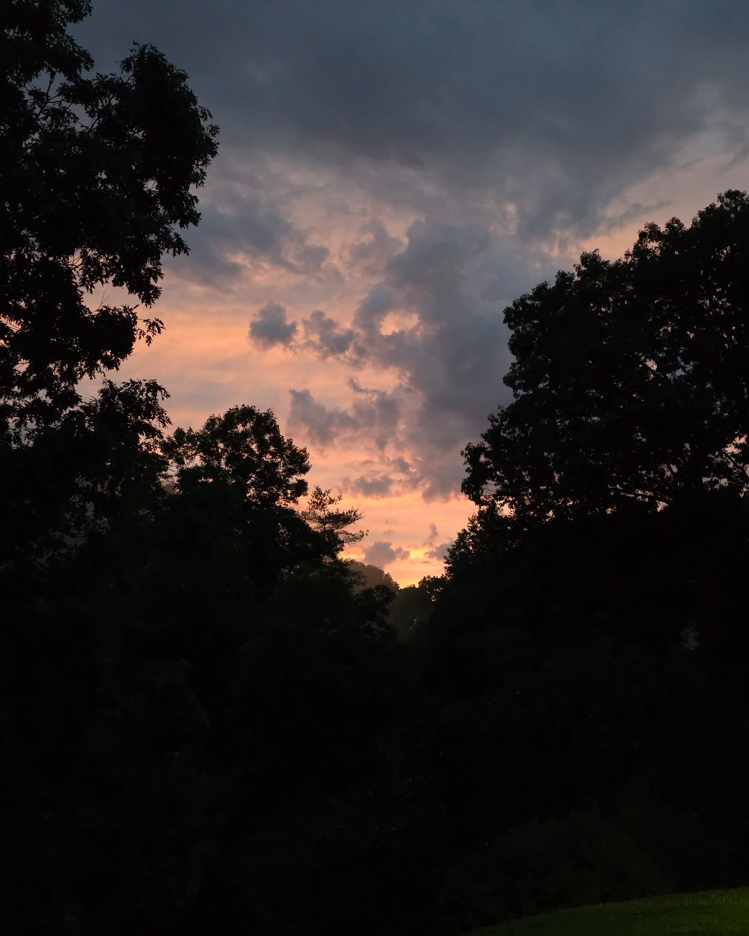 Lovely sunset composed of butter yellow, blush, apricot, lilac, and pale navy above a silhouette of trees