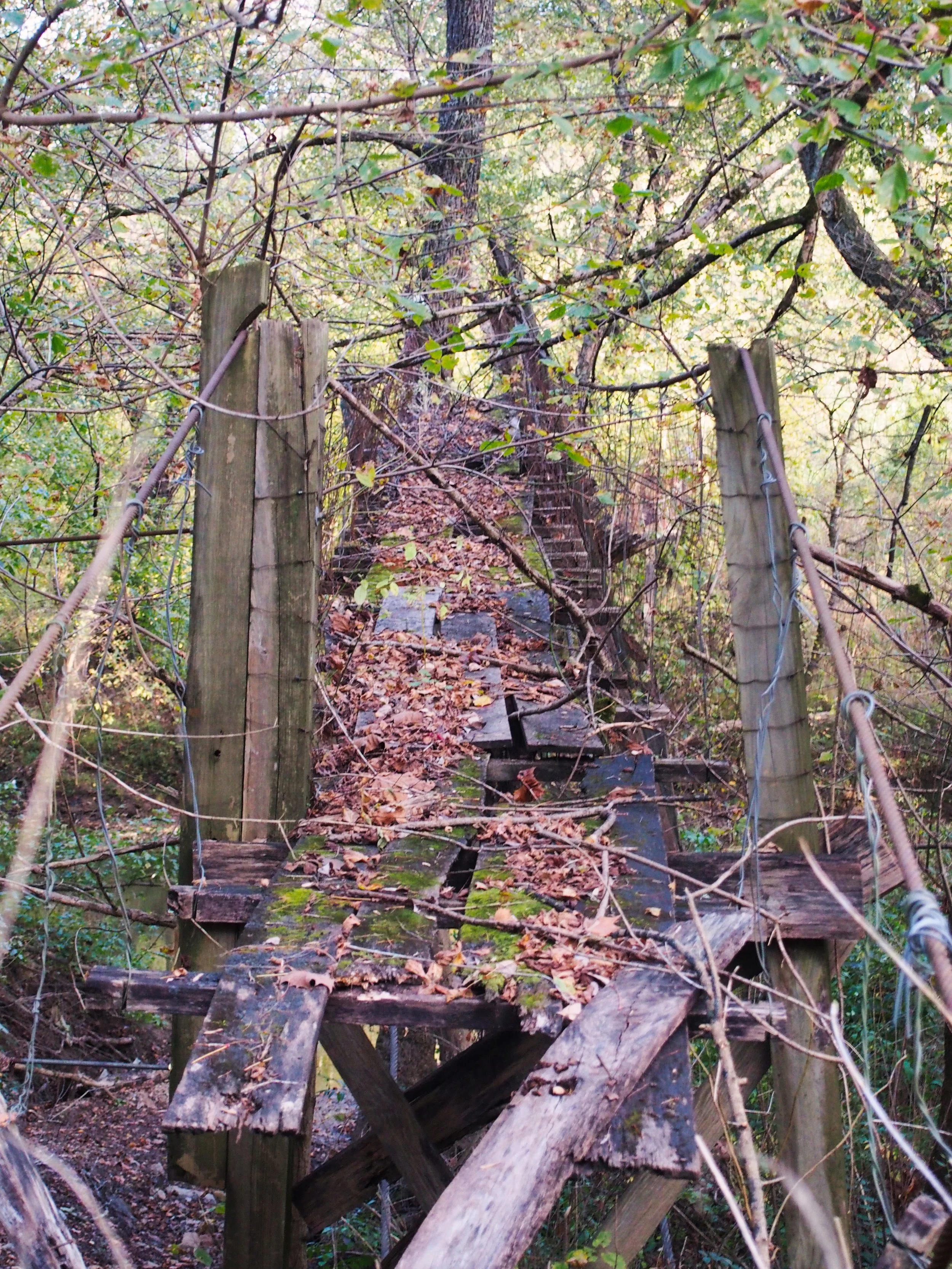 An old, weathered wooden footbridge with broken and missing planks, covered with fallen leaves, surrounded by dense trees with green leaves, in a forest.